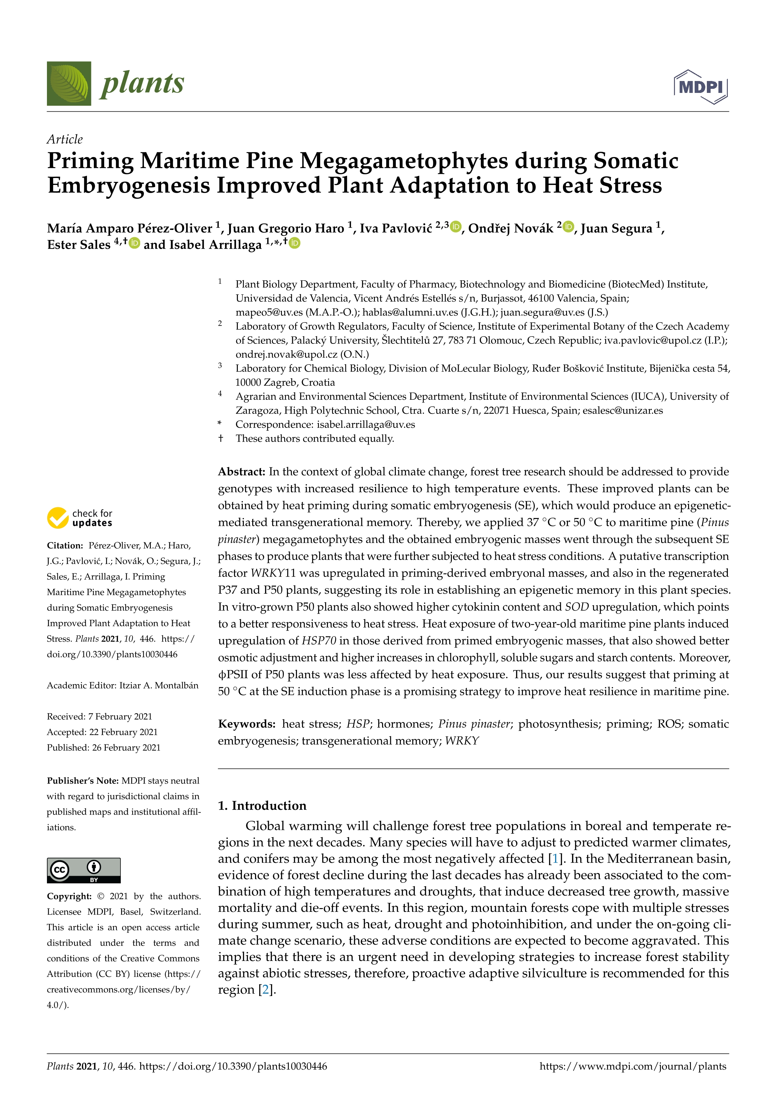 Priming maritime pine megagametophytes during somatic embryogenesis improved plant adaptation to heat stress