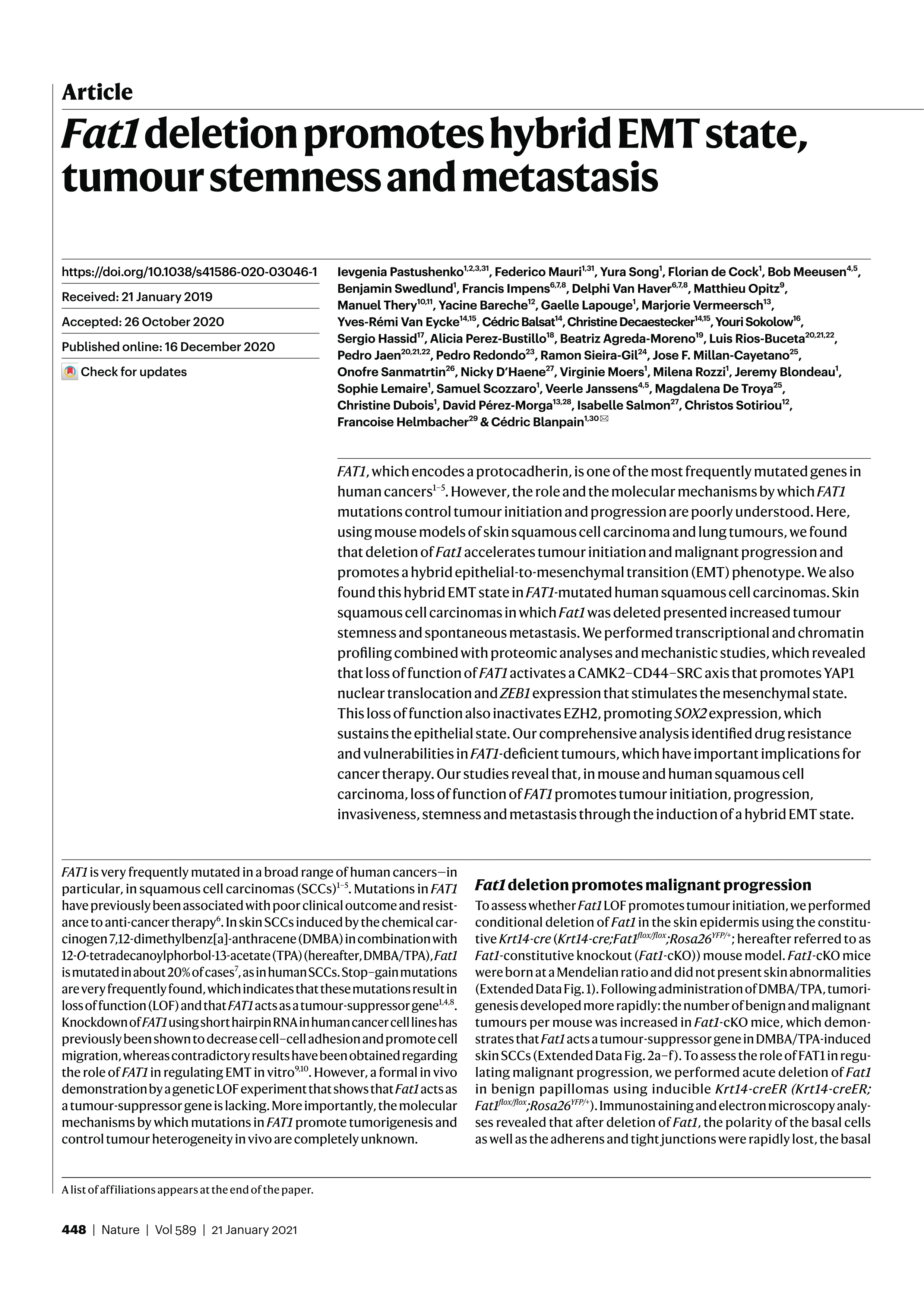 Fat1 deletion promotes hybrid EMT state, tumour stemness and metastasis