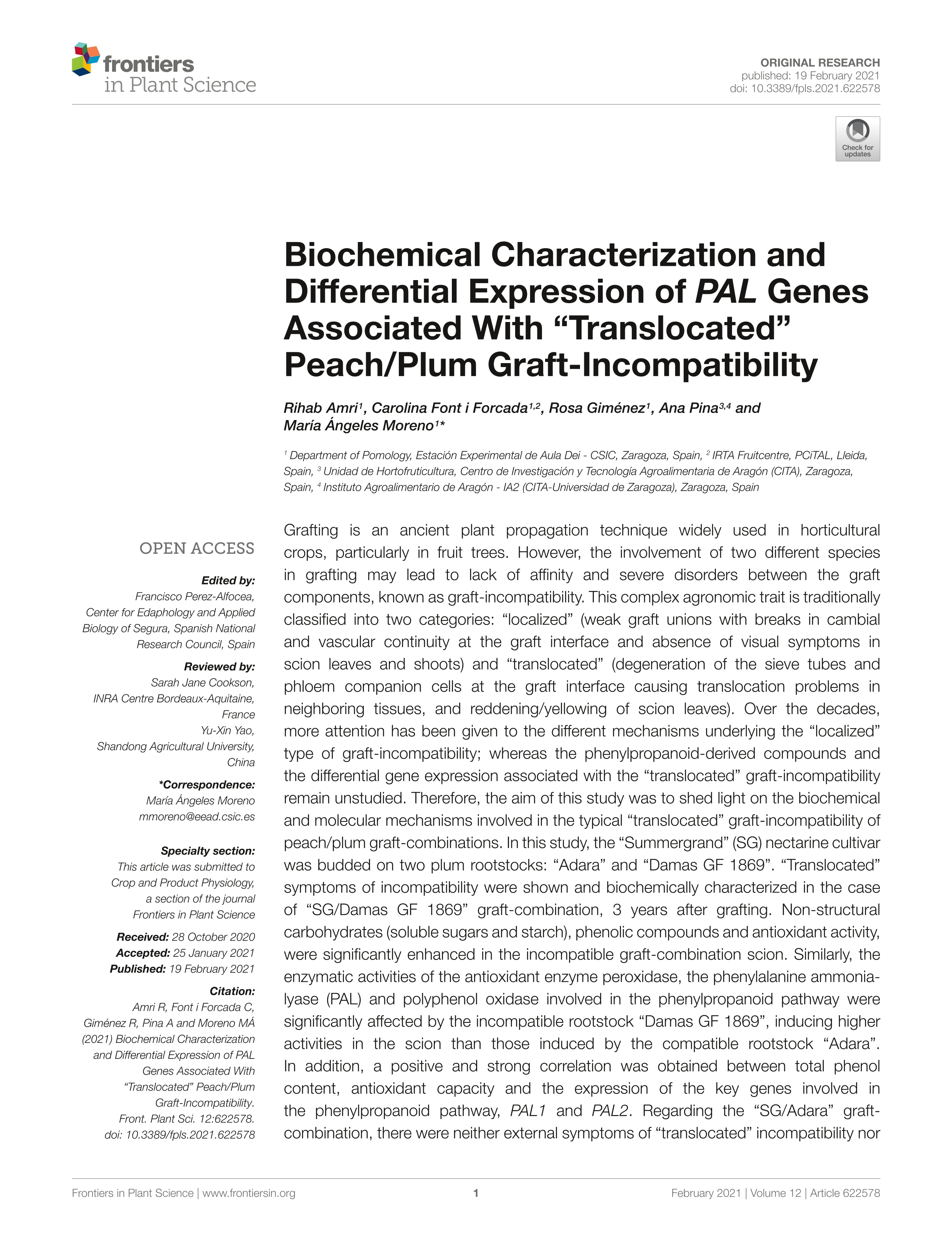 Biochemical Characterization and Differential Expression of PAL Genes Associated With “Translocated” Peach/Plum Graft-Incompatibility