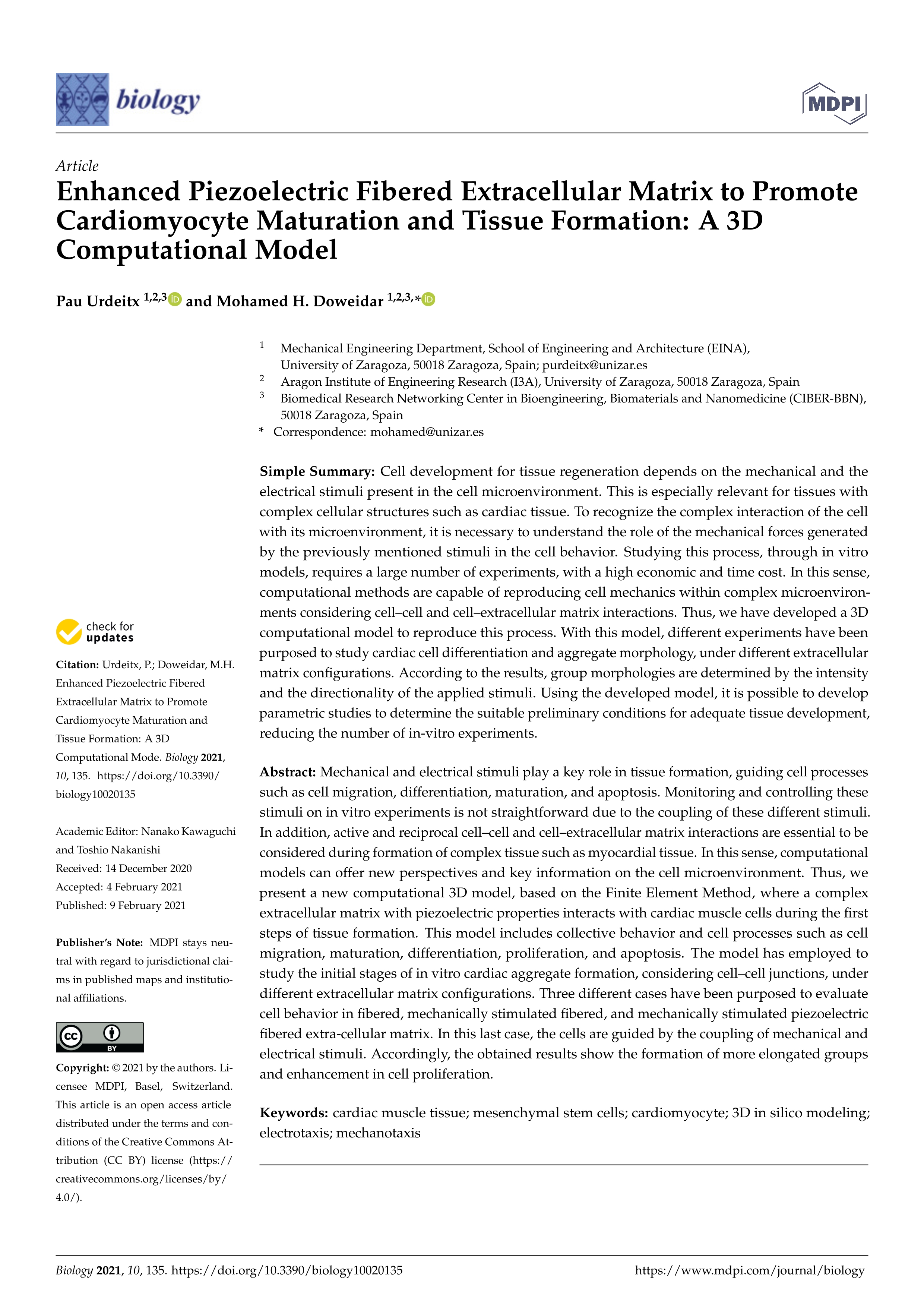 Enhanced piezoelectric fibered extracellular matrix to promote cardiomyocyte maturation and tissue formation: a 3d computational model