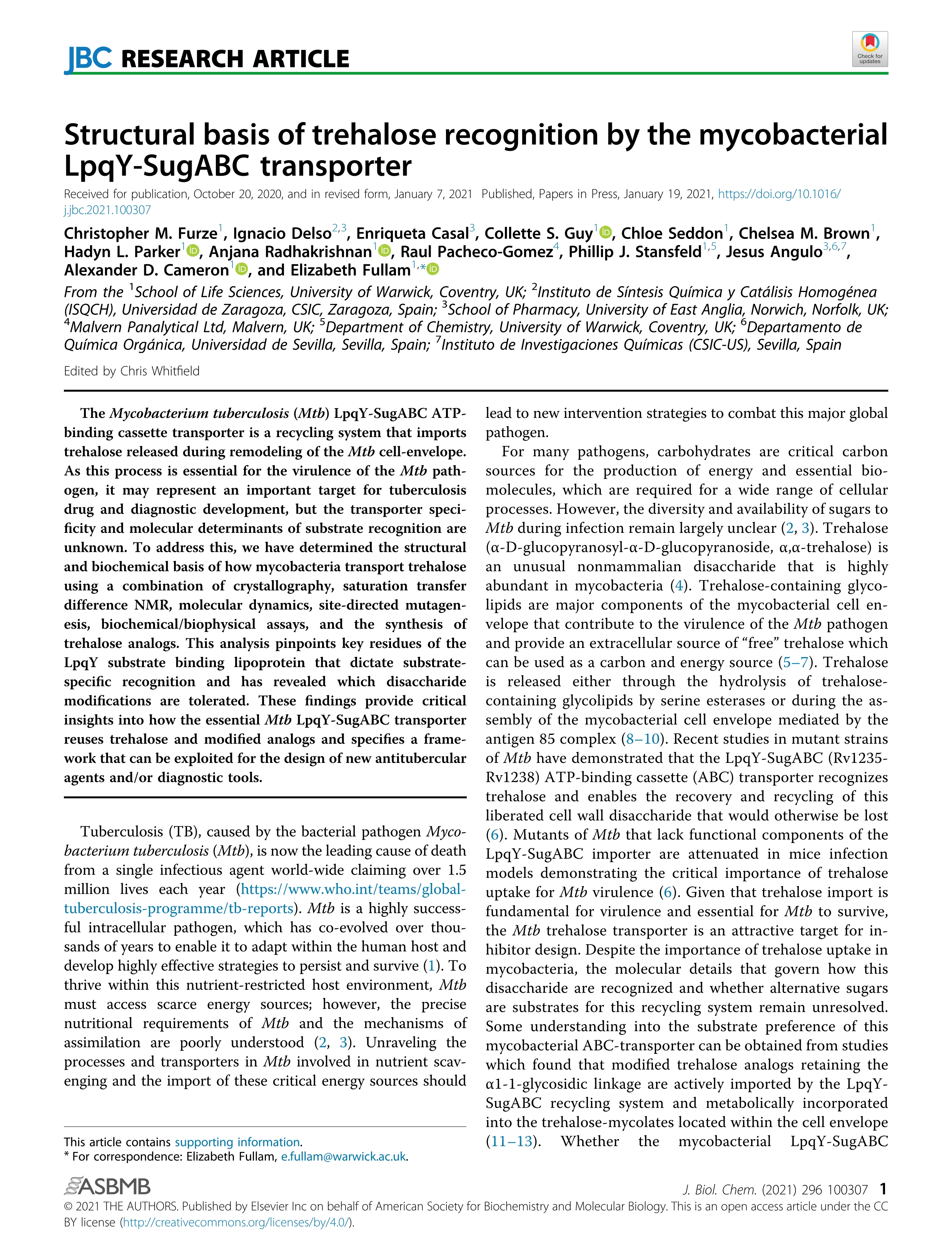 Structural basis of trehalose recognition by the mycobacterial LpqY-SugABC transporter