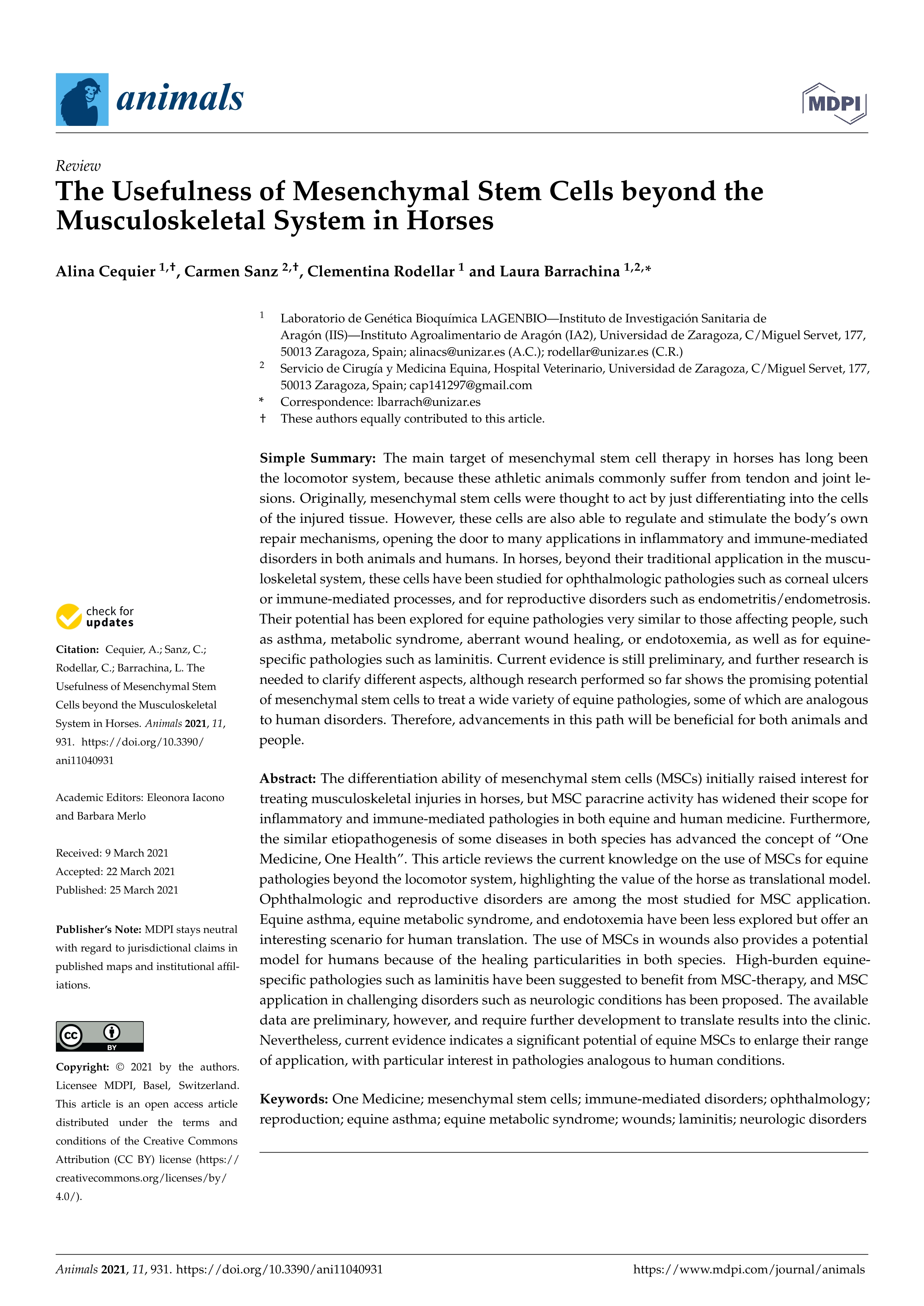The usefulness of mesenchymal stem cells beyond the musculoskeletal system in horses