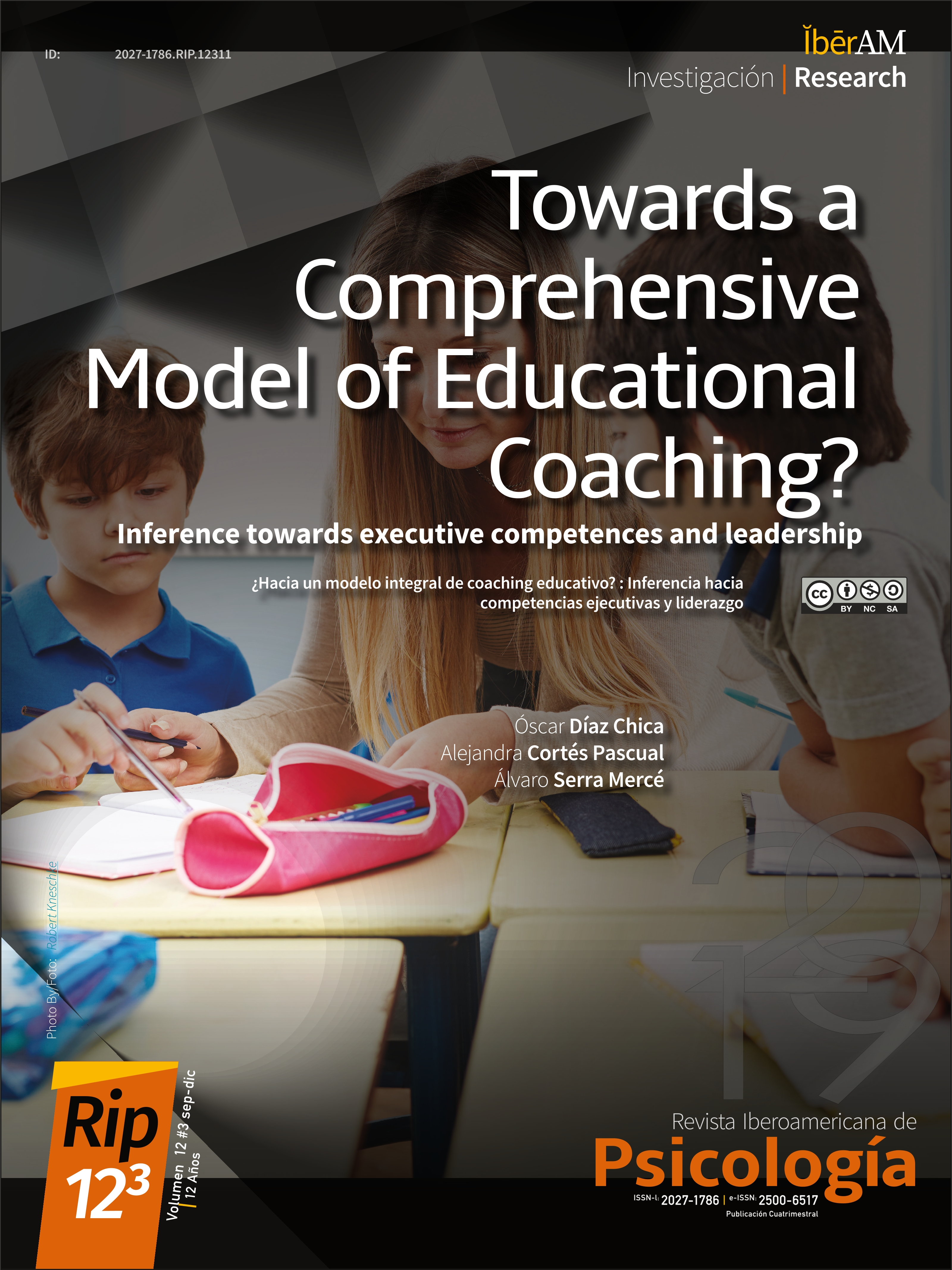 Towards a comprehensive model of educational coaching?: Inference towards executive competences and leadership