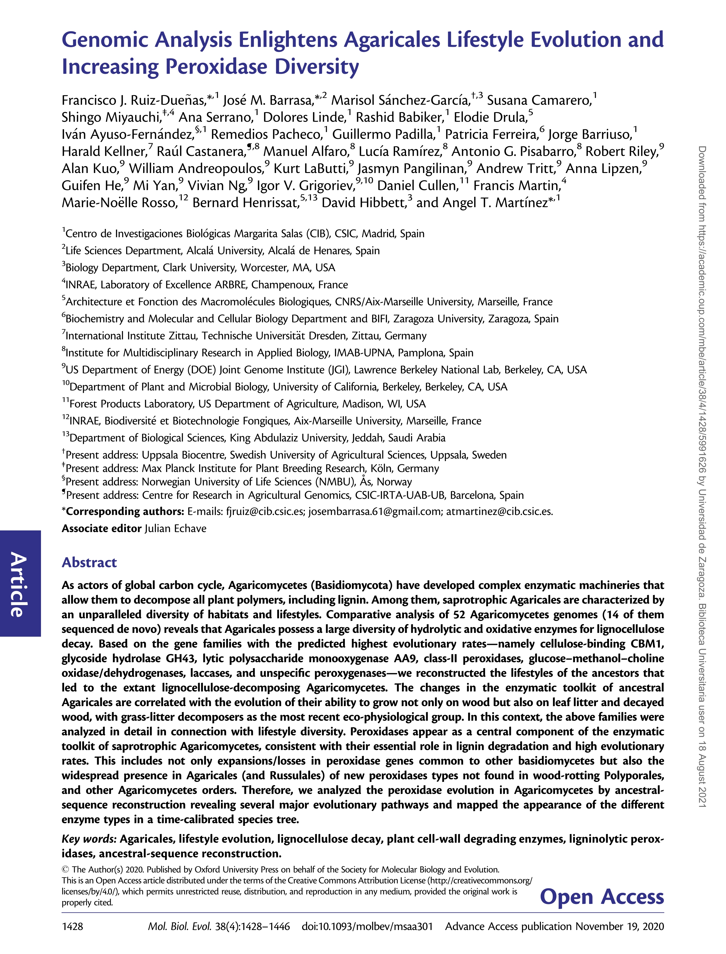 Genomic analysis enlightens agaricales lifestyle evolution and increasing peroxidase diversity