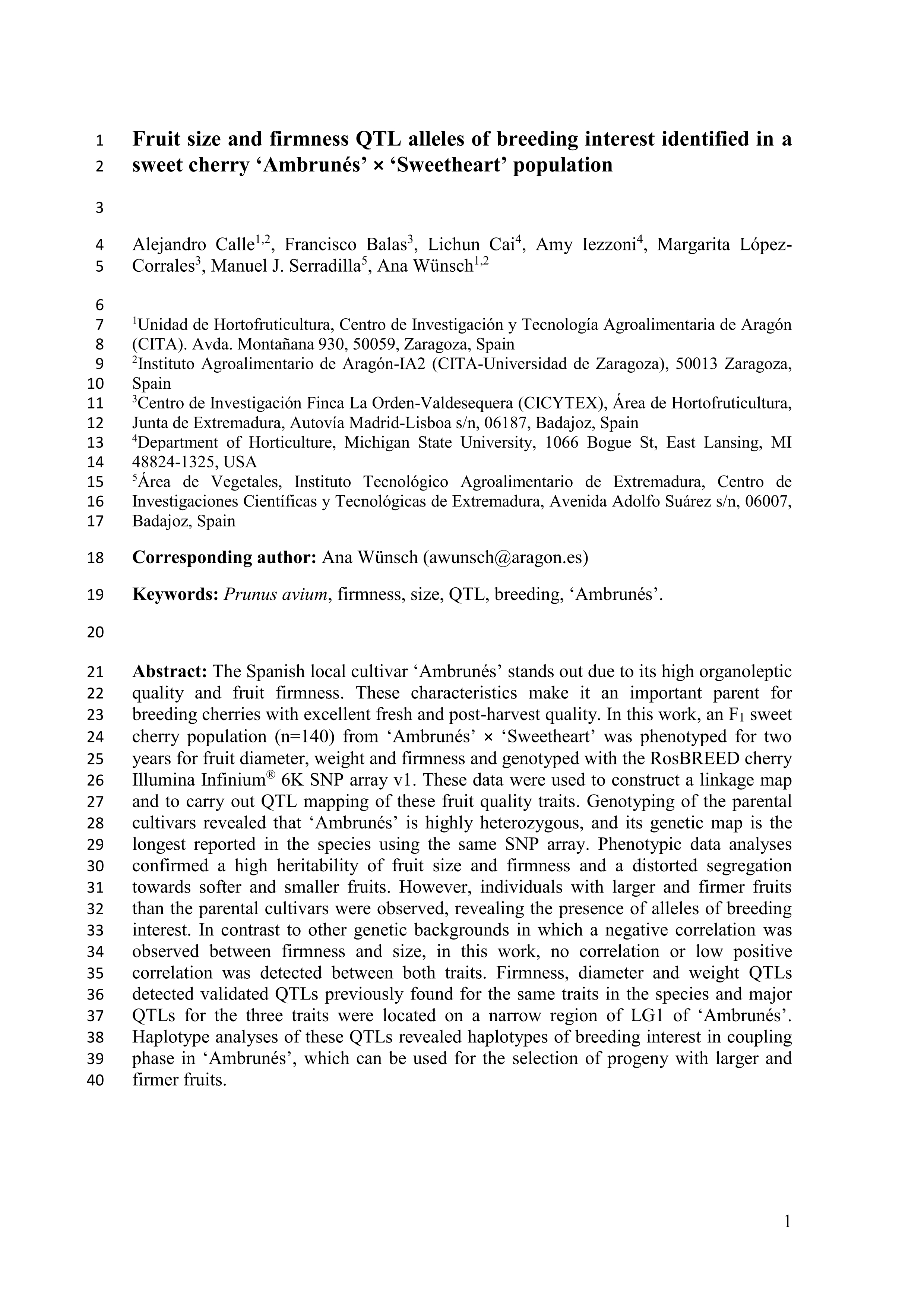 Fruit size and firmness QTL alleles of breeding interest identified in a sweet cherry ‘Ambrunés’ × ‘Sweetheart’ population