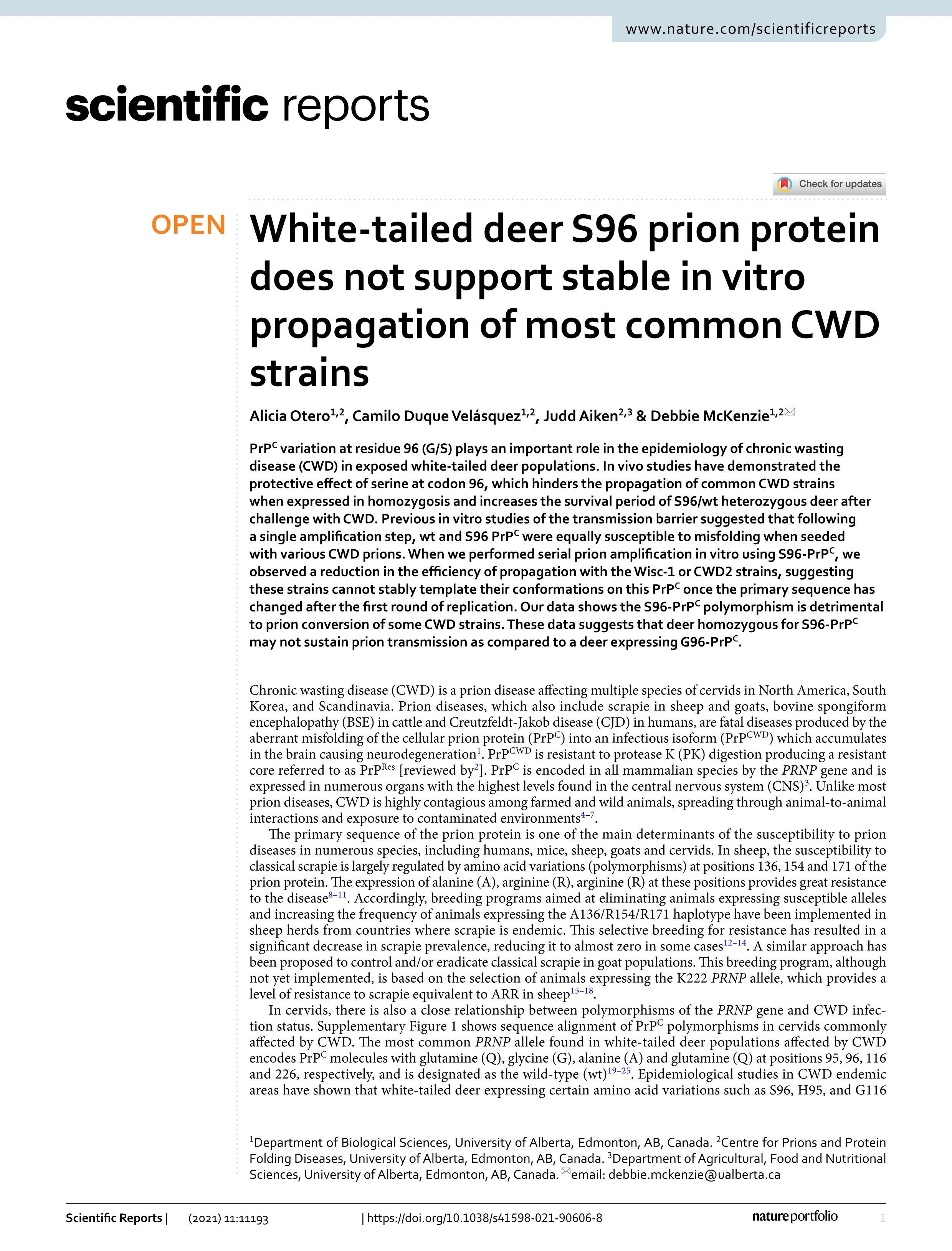 White-tailed deer S96 prion protein does not support stable in vitro propagation of most common CWD strains