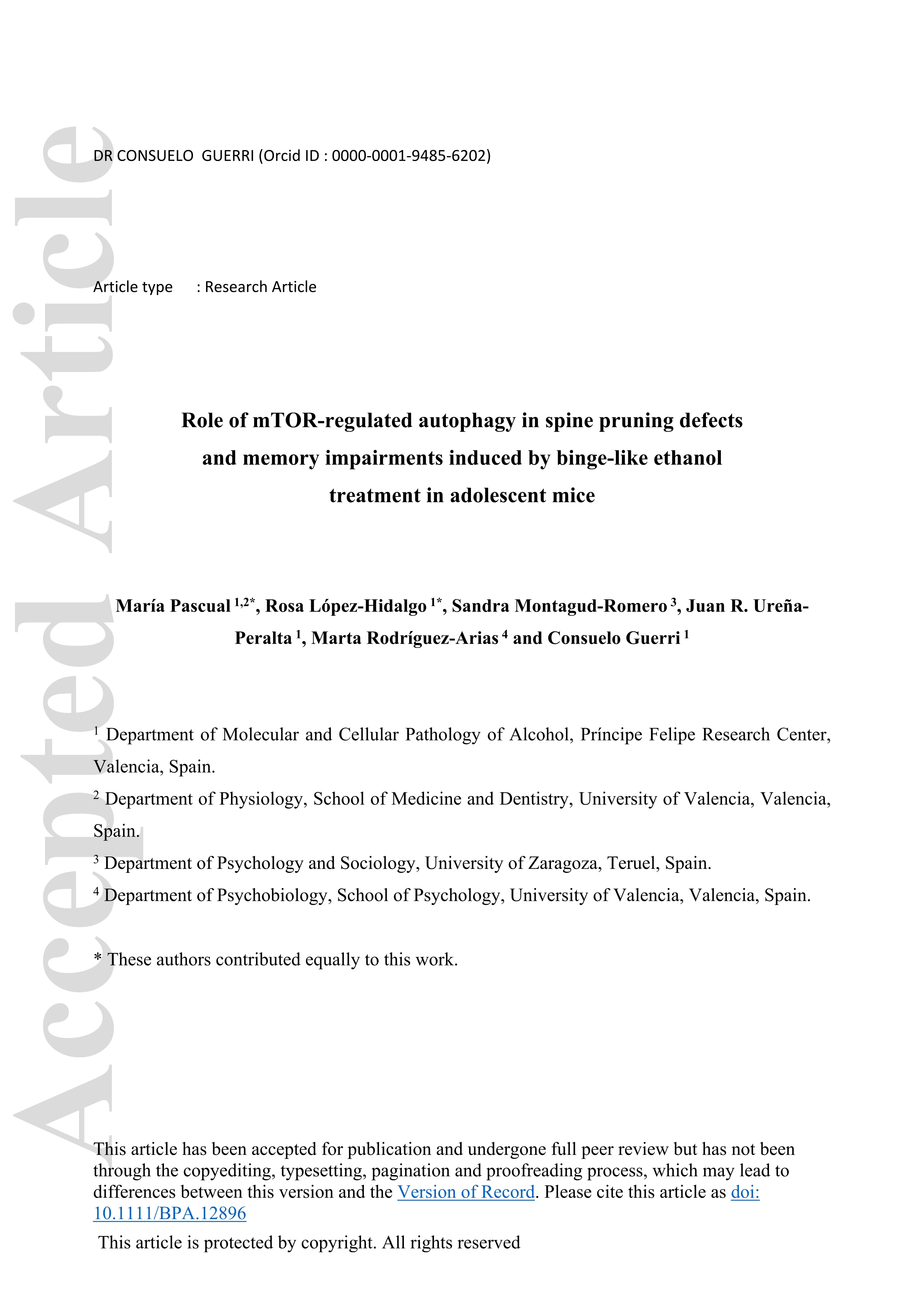 Role of mTOR-regulated autophagy in spine pruning defects and memory impairments induced by binge-like ethanol treatment in adolescent mice