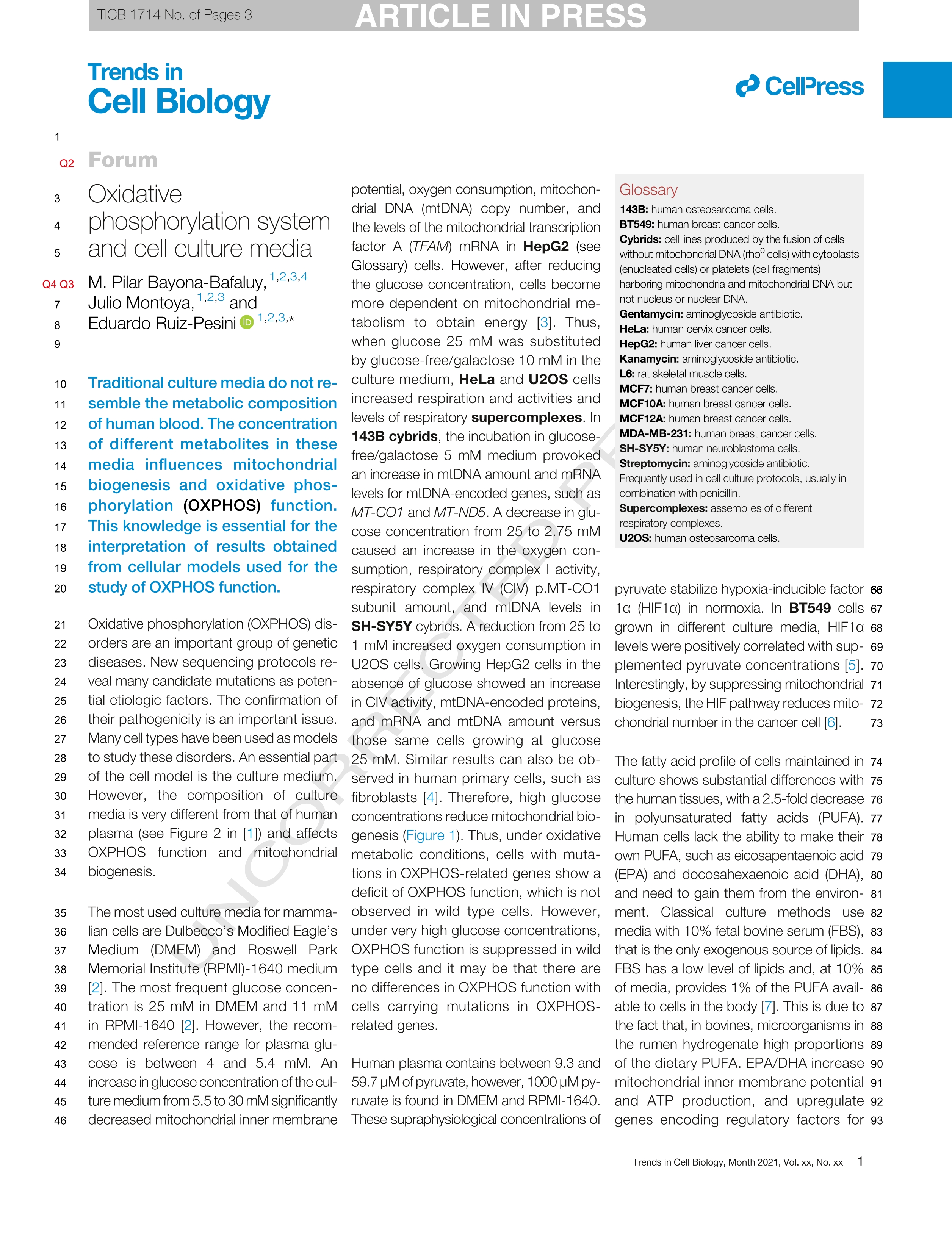 Oxidative phosphorylation system and cell culture media