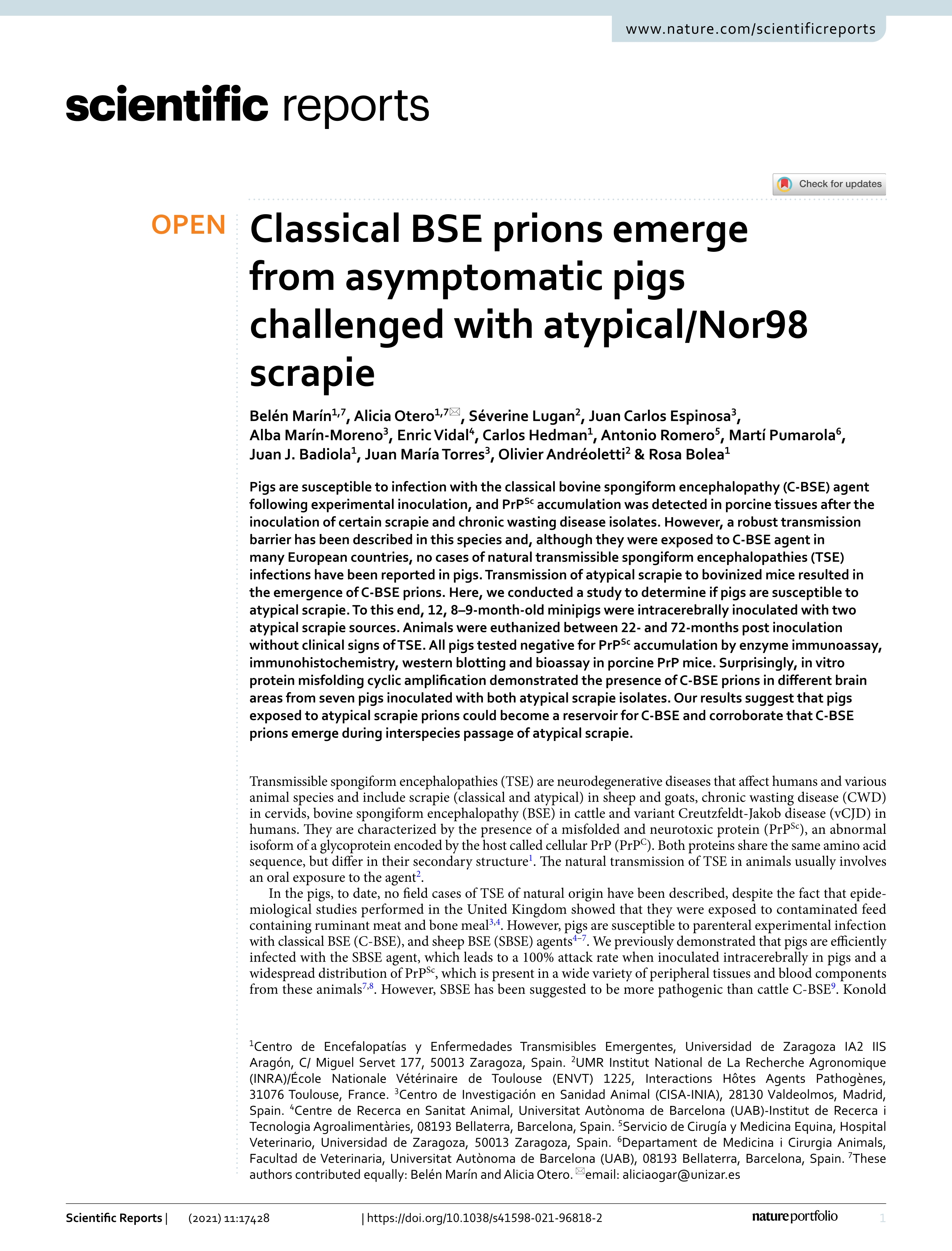 Classical BSE prions emerge from asymptomatic pigs challenged with atypical/Nor98 scrapie