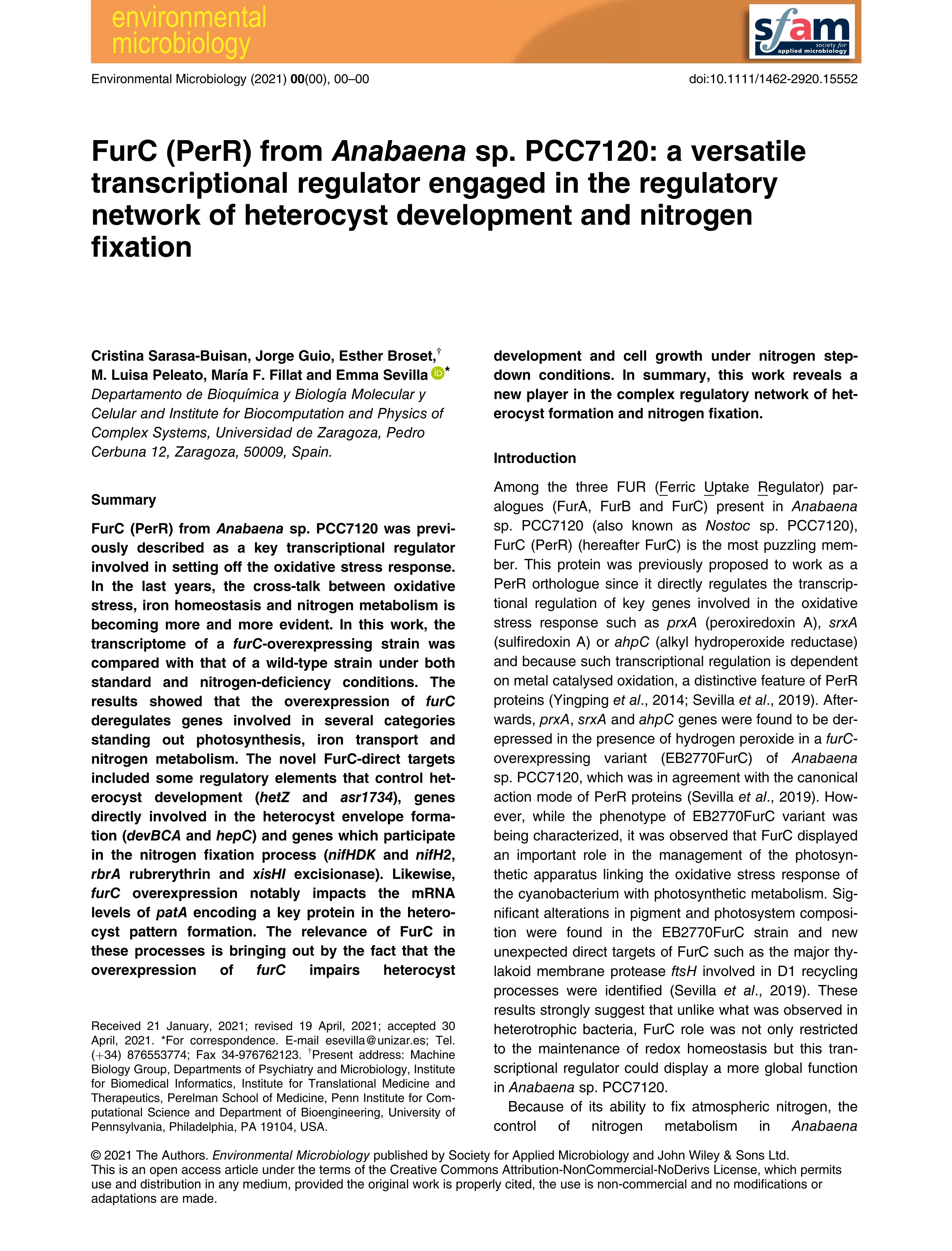 FurC (PerR) from Anabaena sp. PCC7120: a versatile transcriptional regulator engaged in the regulatory network of heterocyst development and nitrogen fixation