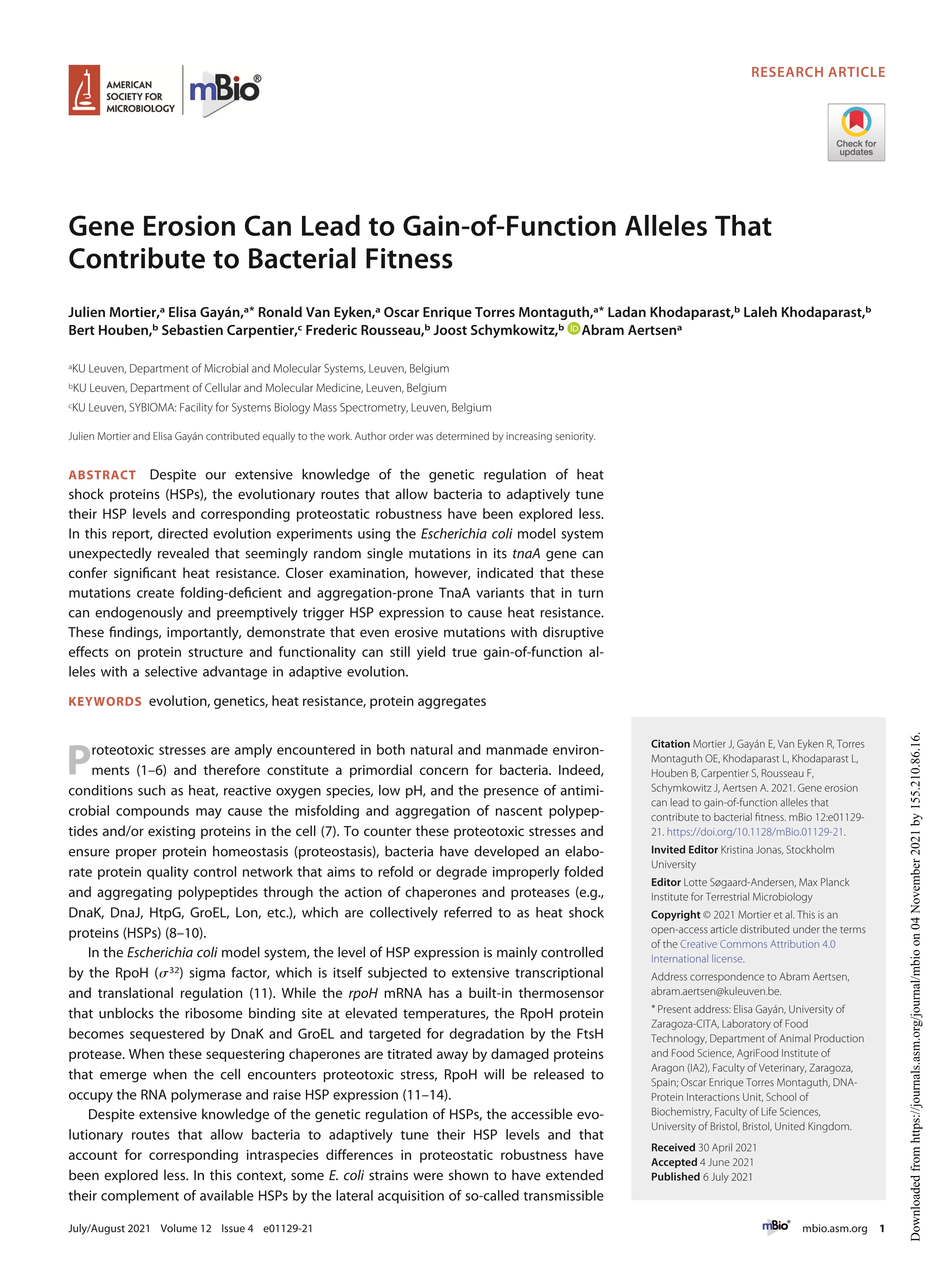 Gene Erosion Can Lead to Gain-of-Function Alleles That Contribute to Bacterial Fitness