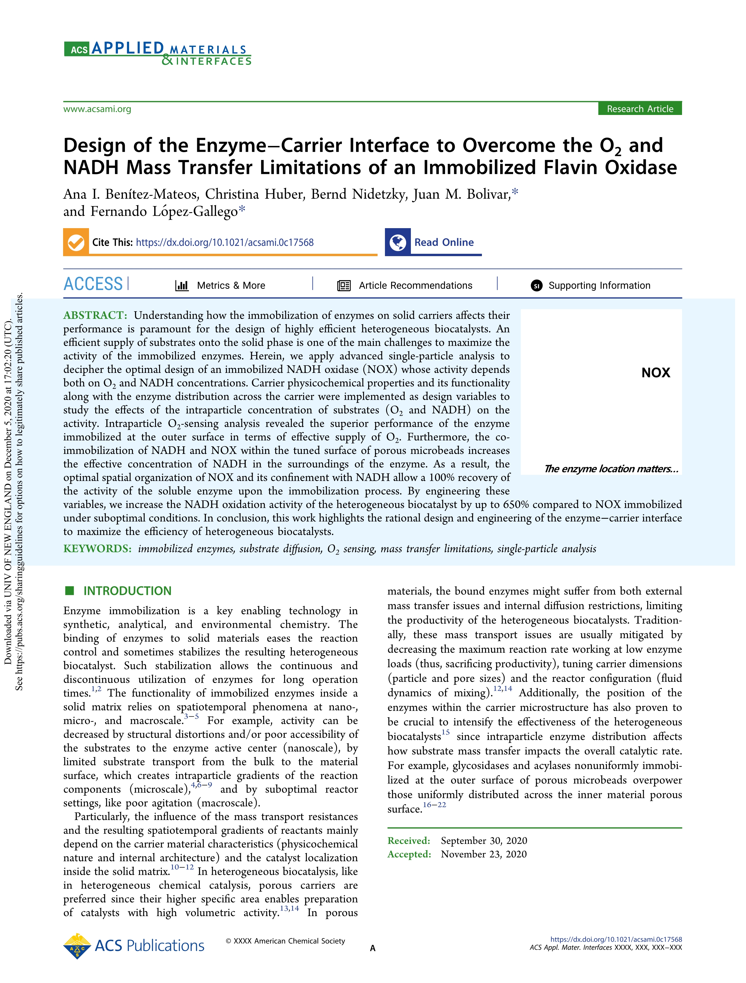 Design of the Enzyme-Carrier Interface to Overcome the O2 and NADH Mass Transfer Limitations of an Immobilized Flavin Oxidase