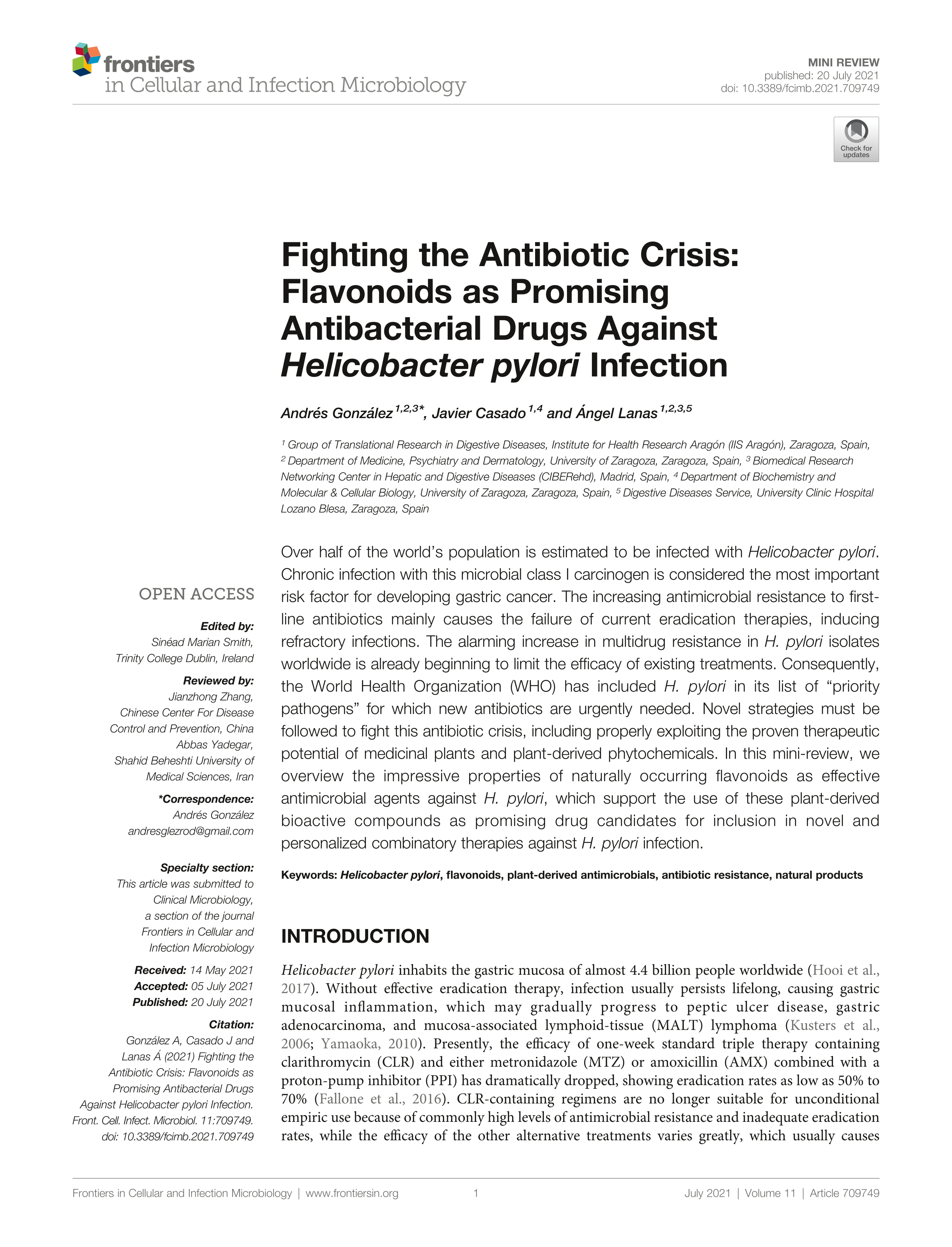 Fighting the antibiotic crisis: flavonoids as promising antibacterial drugs against Helicobacter pylori infection