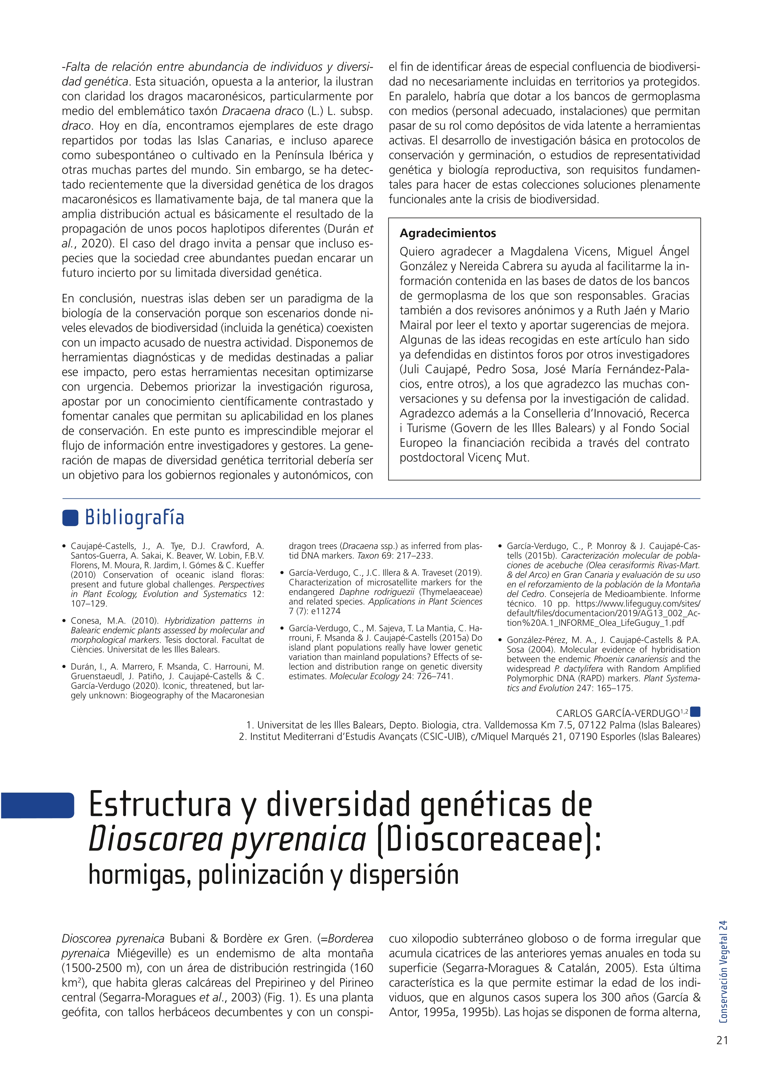 Estructura y diversidad genéticas de Dioscorea pyrenaica (Dioscoraceae): hormigas, polinización y dispersión