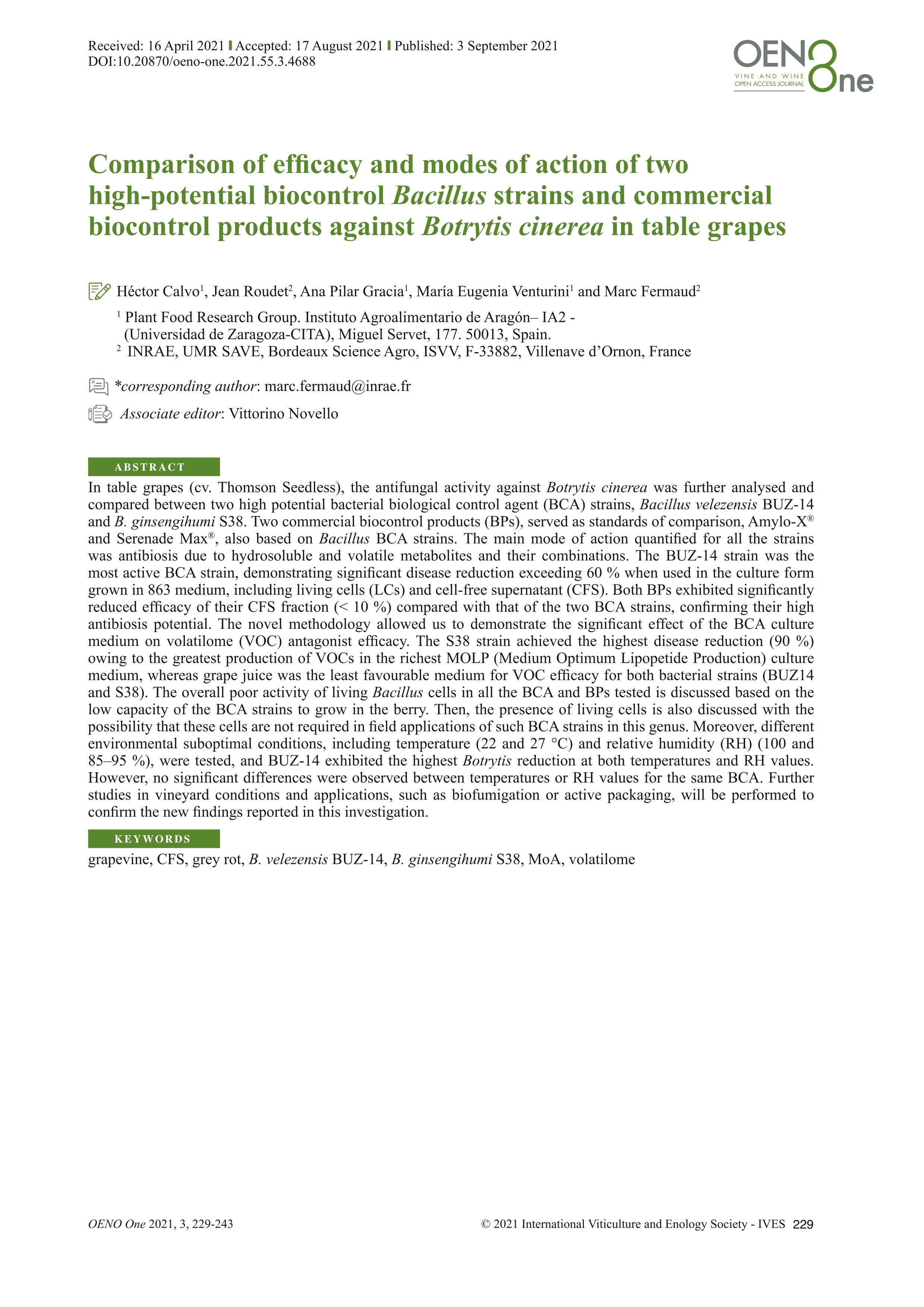 Comparison of efficacy and modes of action of two high-potential biocontrol Bacillus strains and commercial biocontrol products against Botrytis cinerea in table grapes