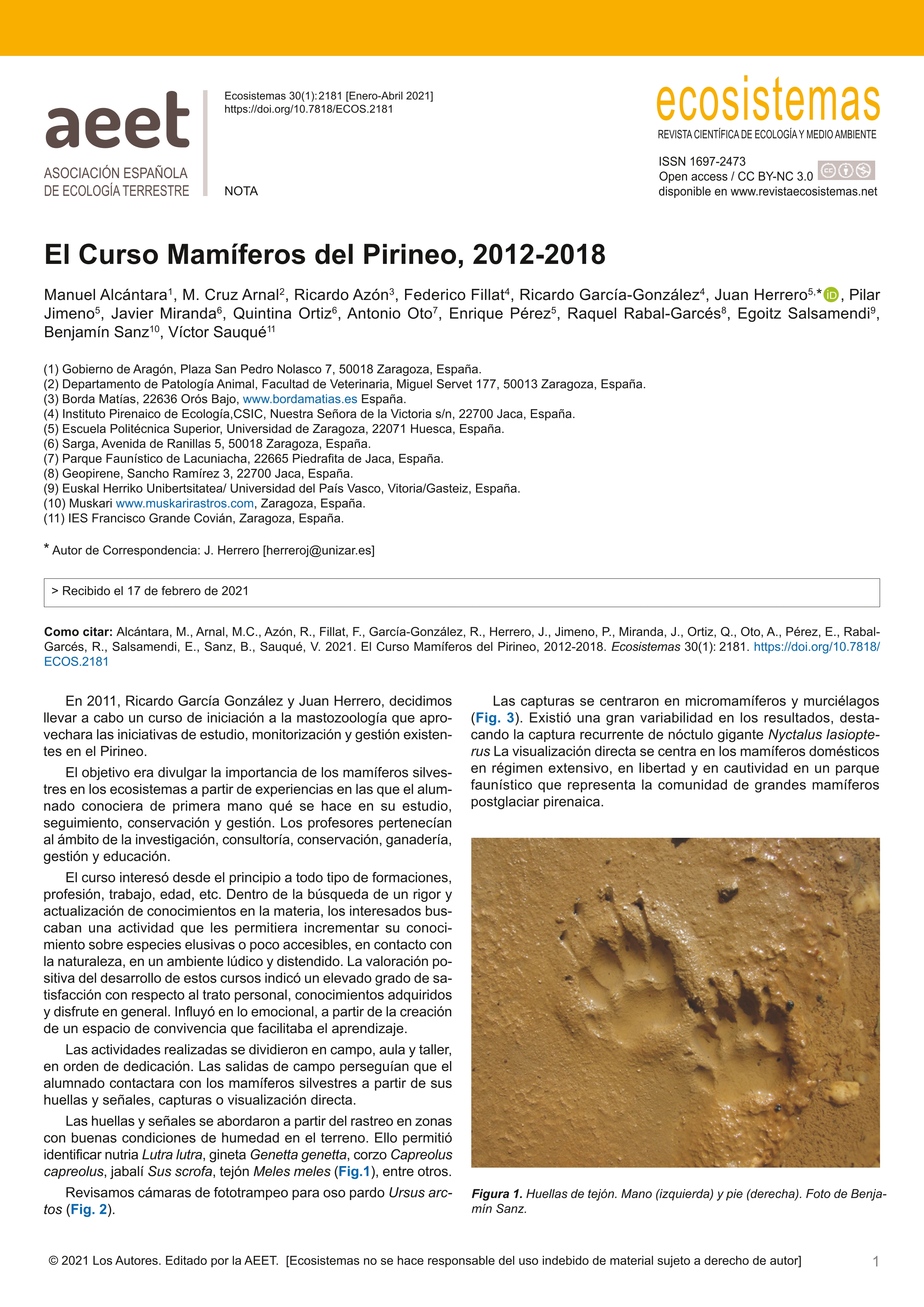 El Curso Mamíferos del Pirineo, 2012-2018