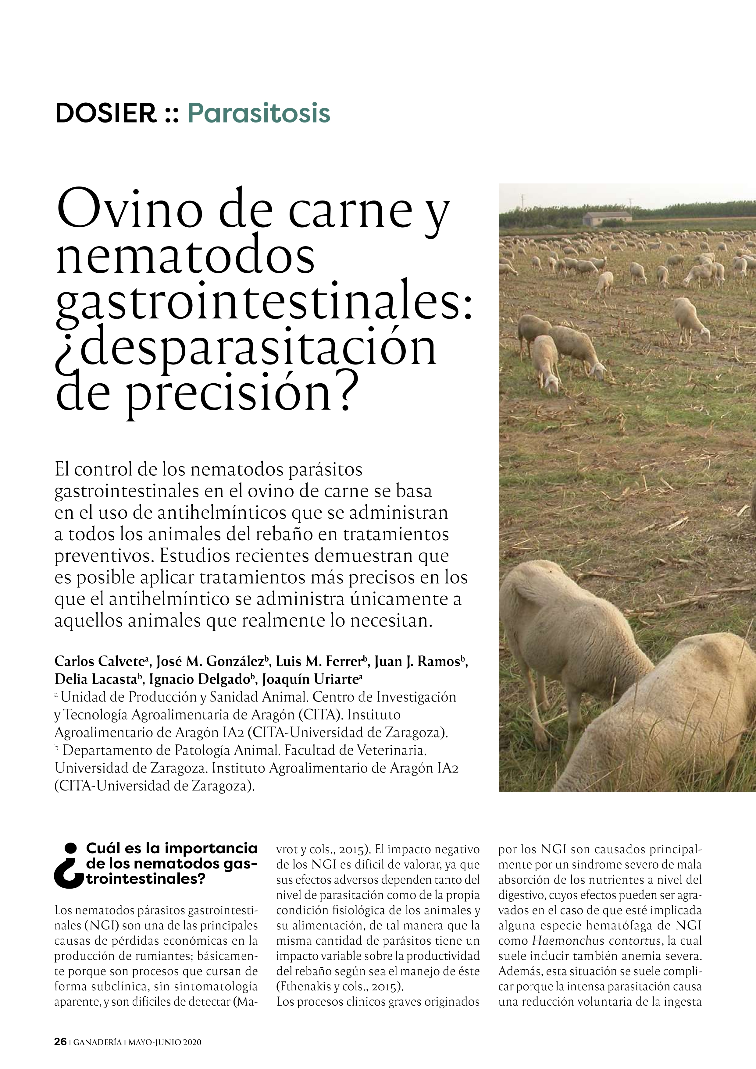 Ovino de carne y nematodos gastrointestinales: ¿desparasitación de precisión?