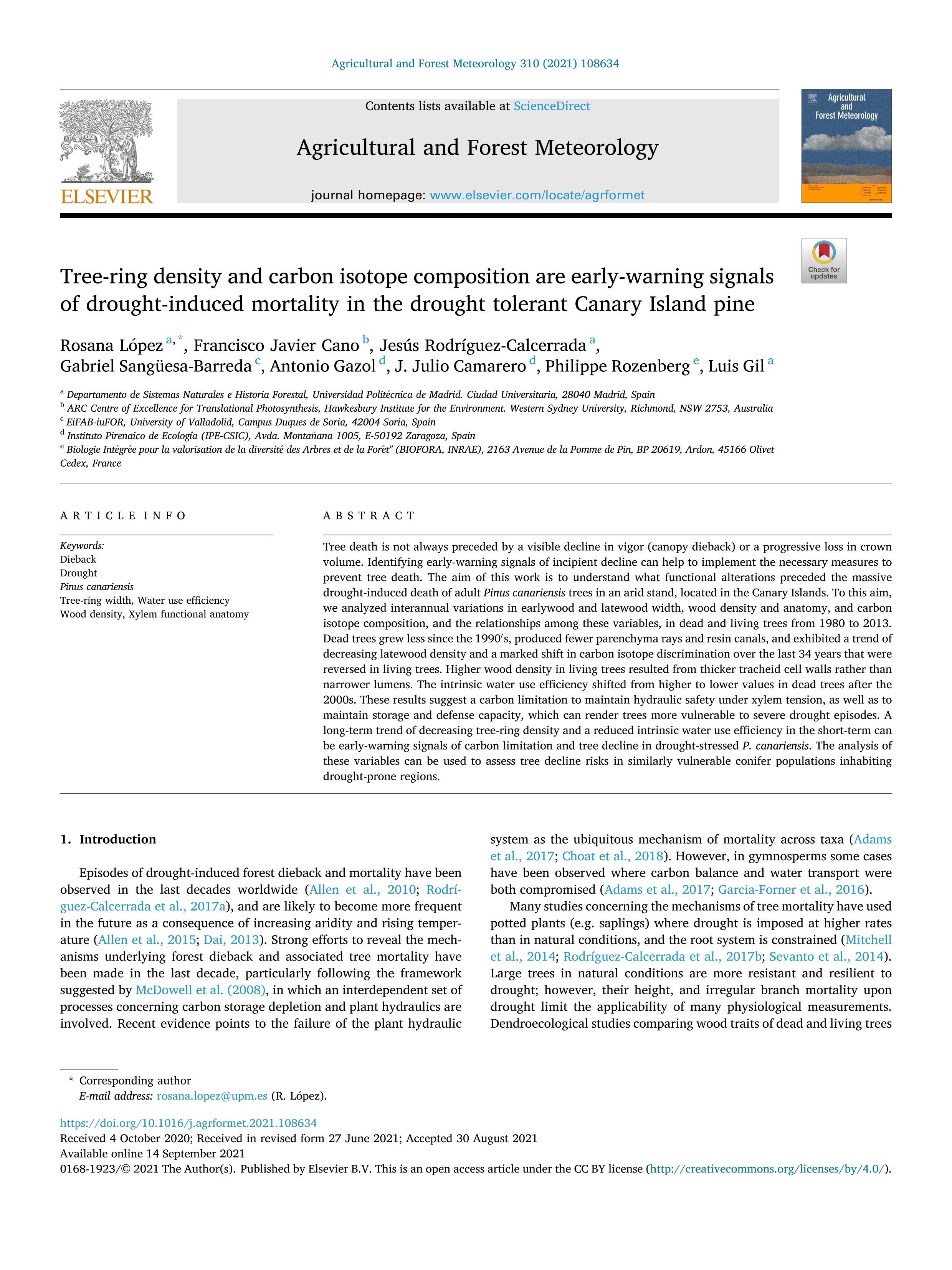 Tree-ring density and carbon isotope composition are early-warning signals of drought-induced mortality in the drought tolerant Canary Island pine