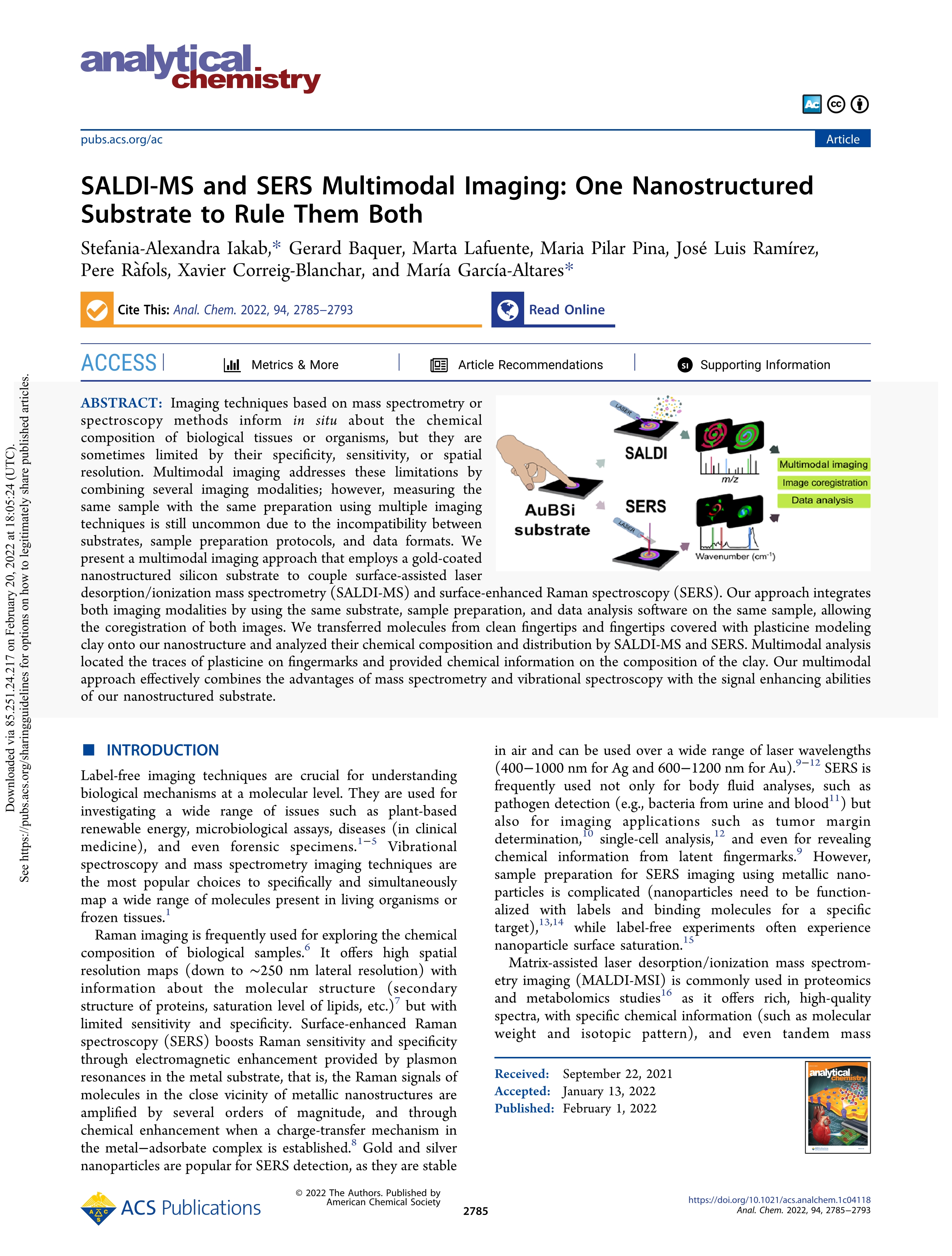 SALDI-MS and SERS Multimodal Imaging: One Nanostructured Substrate to Rule Them Both