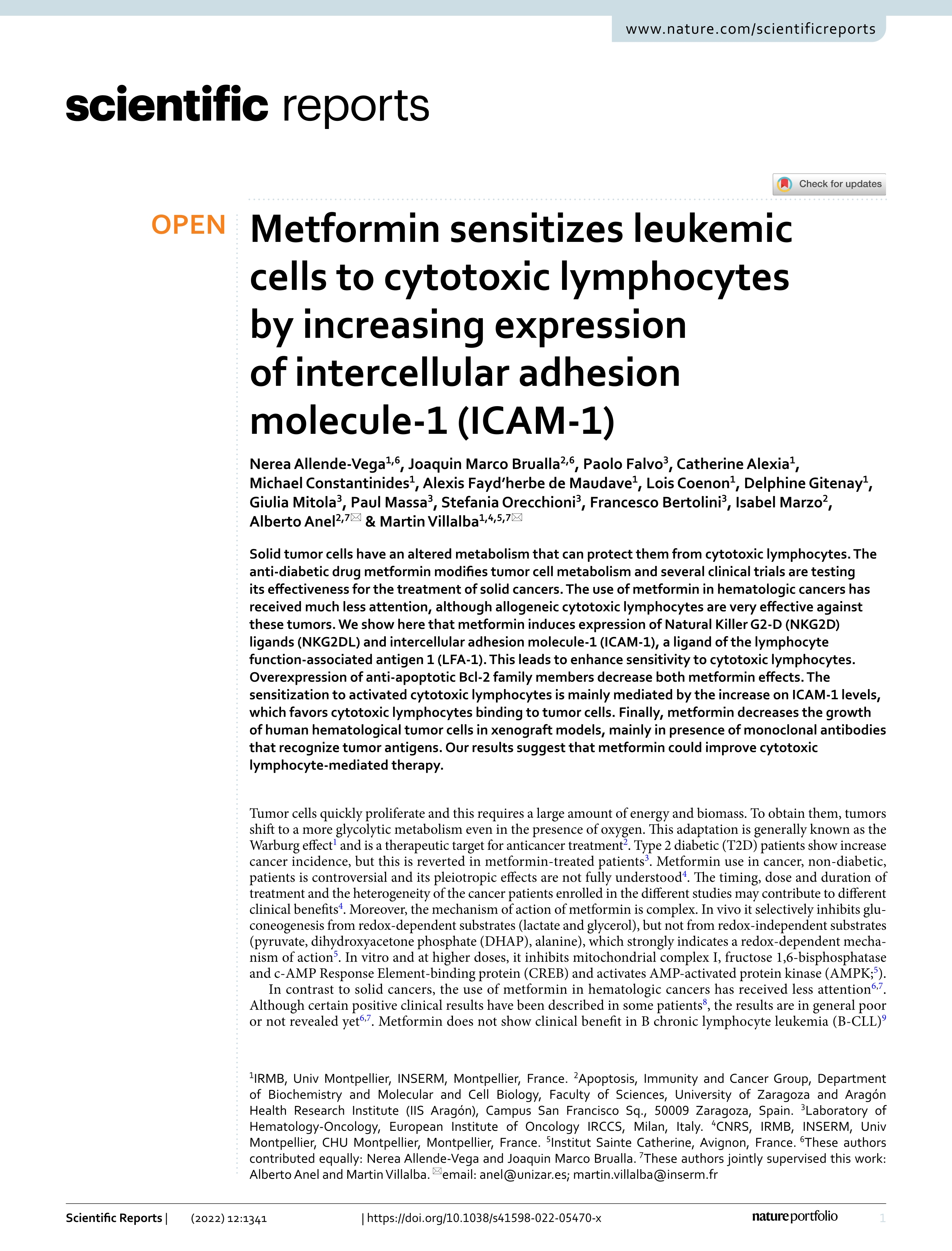 Metformin sensitizes leukemic cells to cytotoxic lymphocytes by increasing expression of intercellular adhesion molecule-1 (ICAM-1)