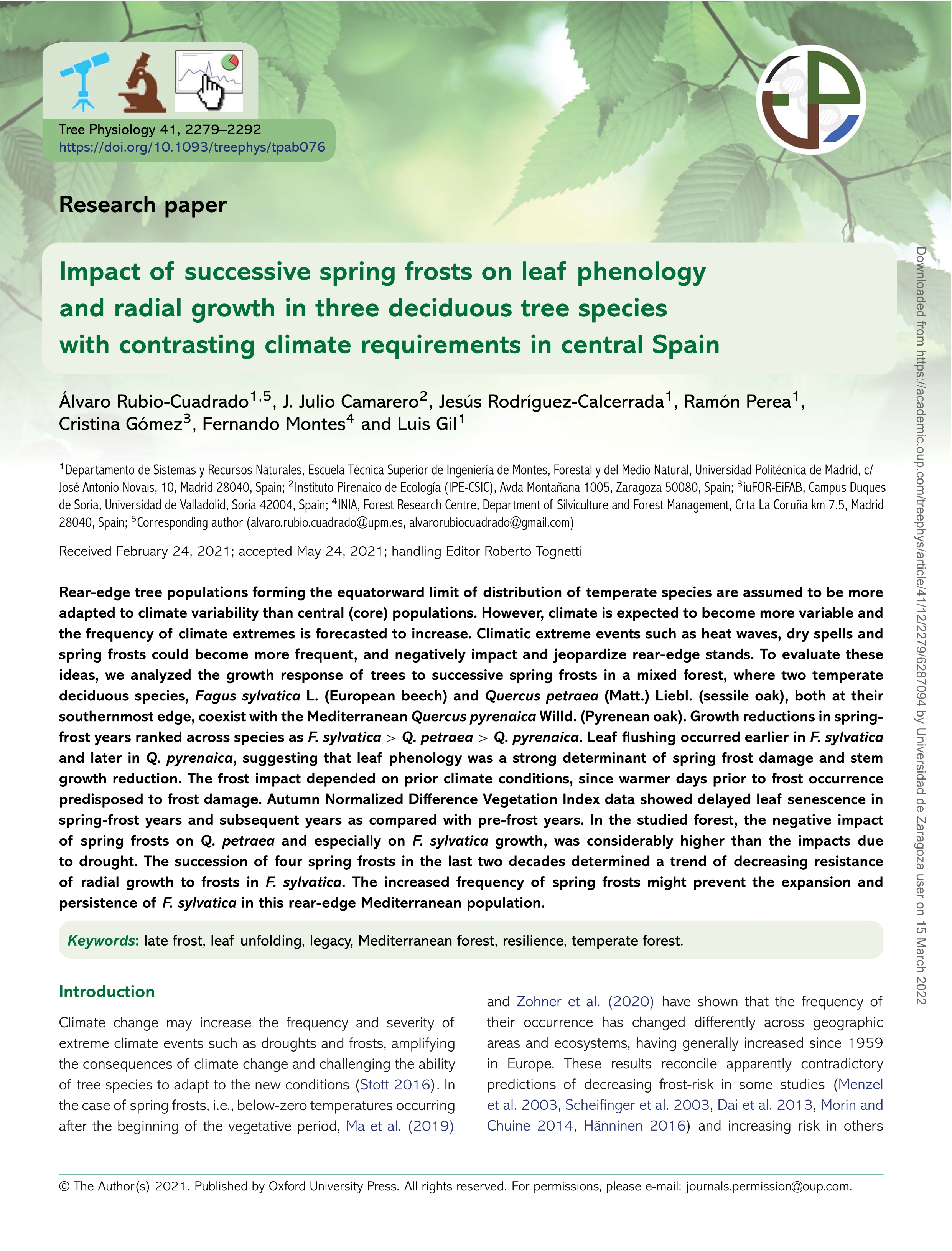 Impact of successive spring frosts on leaf phenology and radial growth in three deciduous tree species with contrasting climate requirements in central Spain