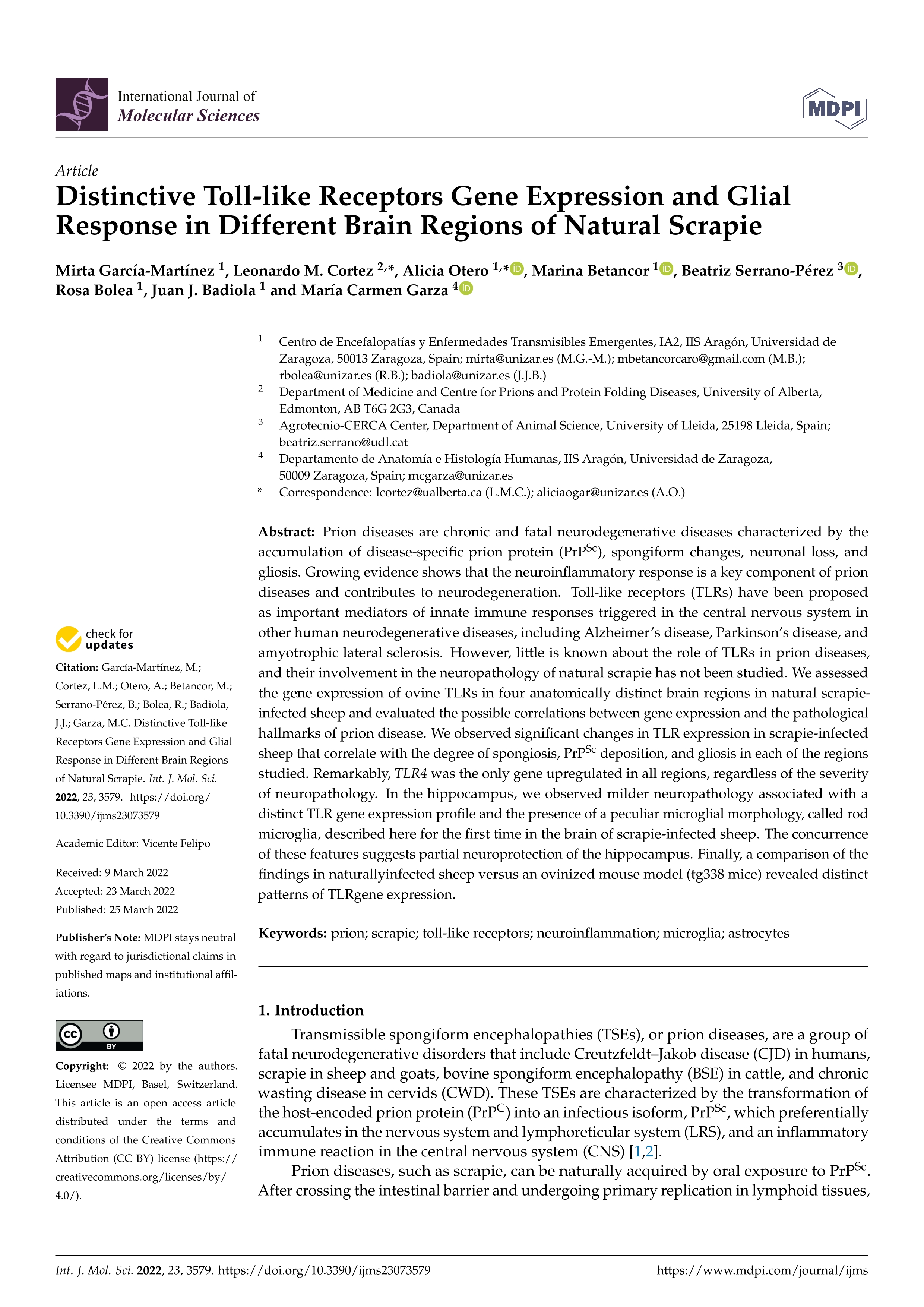 Distinctive Toll-like Receptors Gene Expression and Glial Response in Different Brain Regions of Natural Scrapie