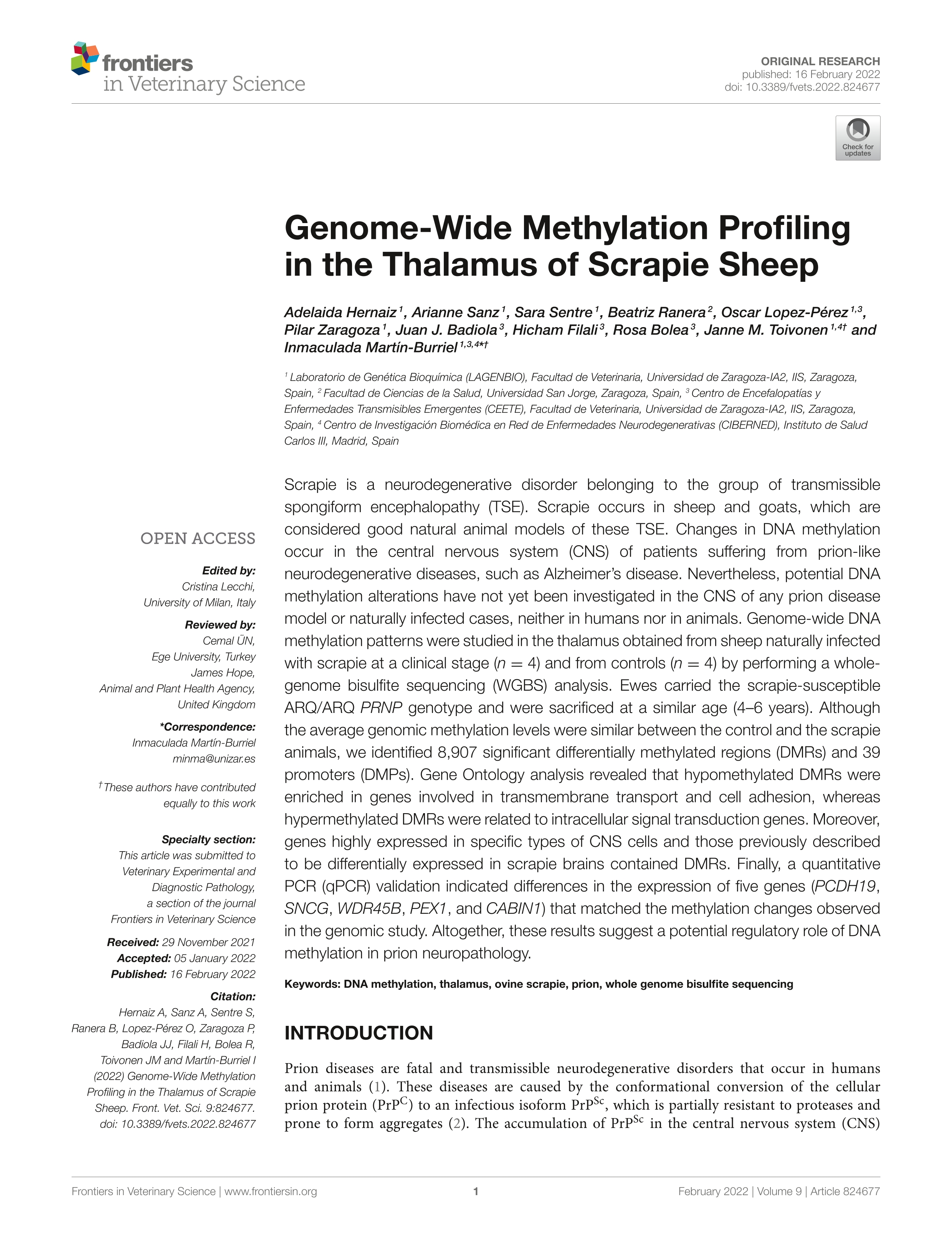 Genome-Wide Methylation Profiling in the Thalamus of Scrapie Sheep