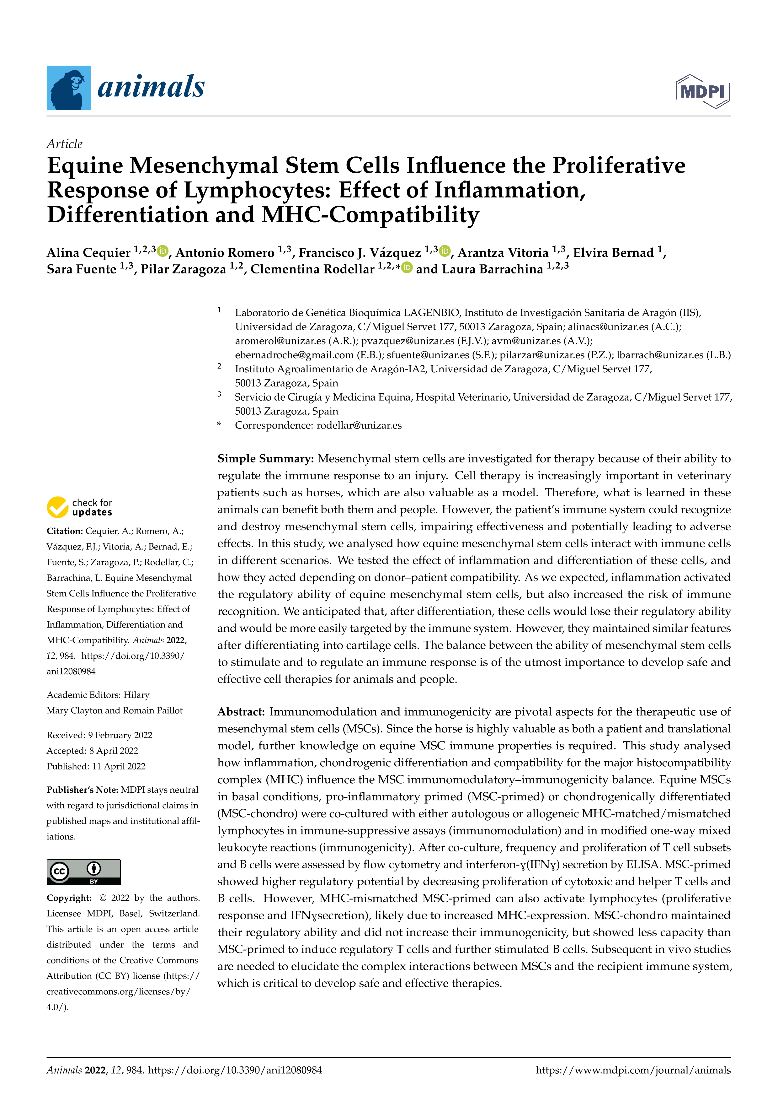 Equine mesenchymal stem cells influence the proliferative response of lymphocytes: effect of inflammation, differentiation and MHC-compatibility