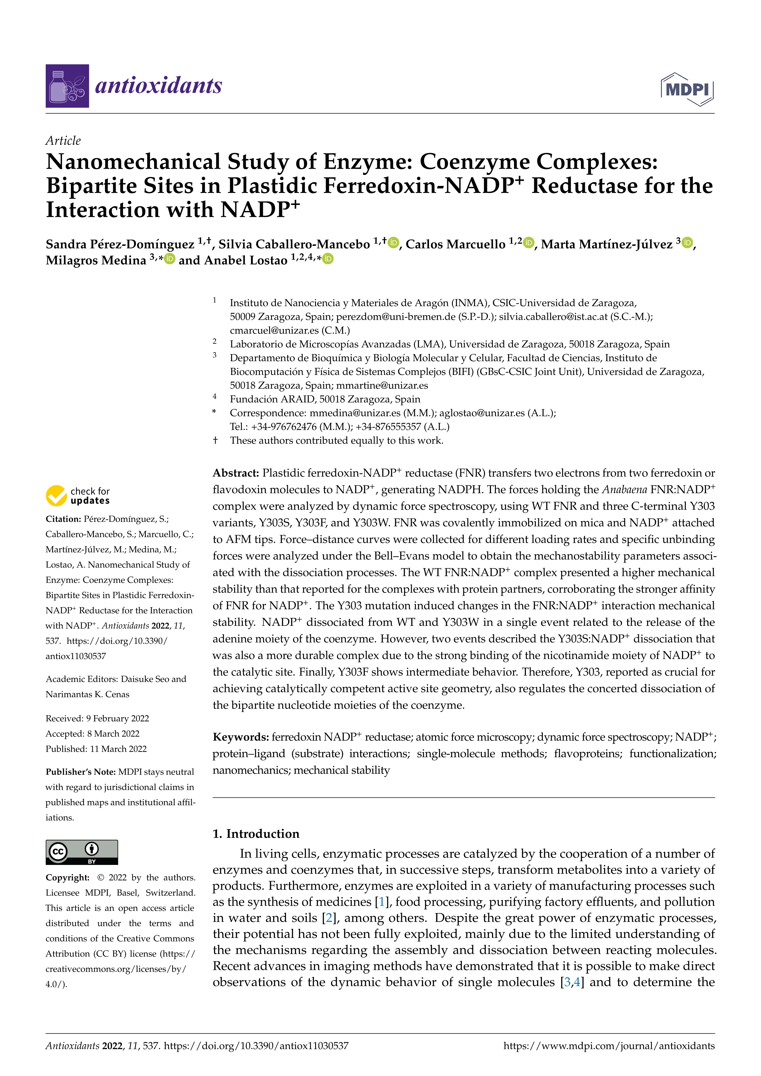 Nanomechanical Study of Enzyme: Coenzyme Complexes: Bipartite Sites in Plastidic Ferredoxin-NADP+ Reductase for the Interaction with NADP+