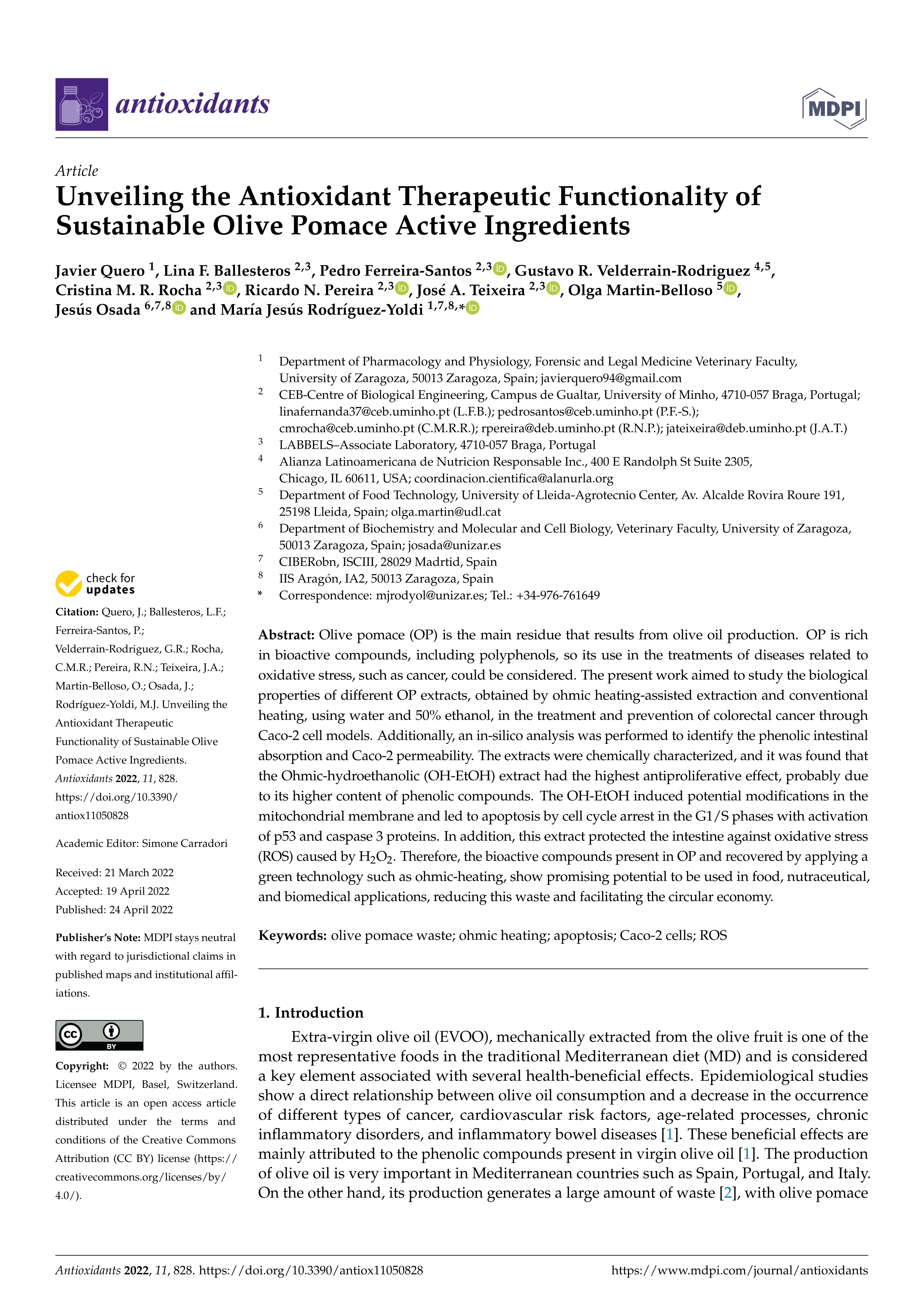 Unveiling the Antioxidant Therapeutic Functionality of Sustainable Olive Pomace Active Ingredients
