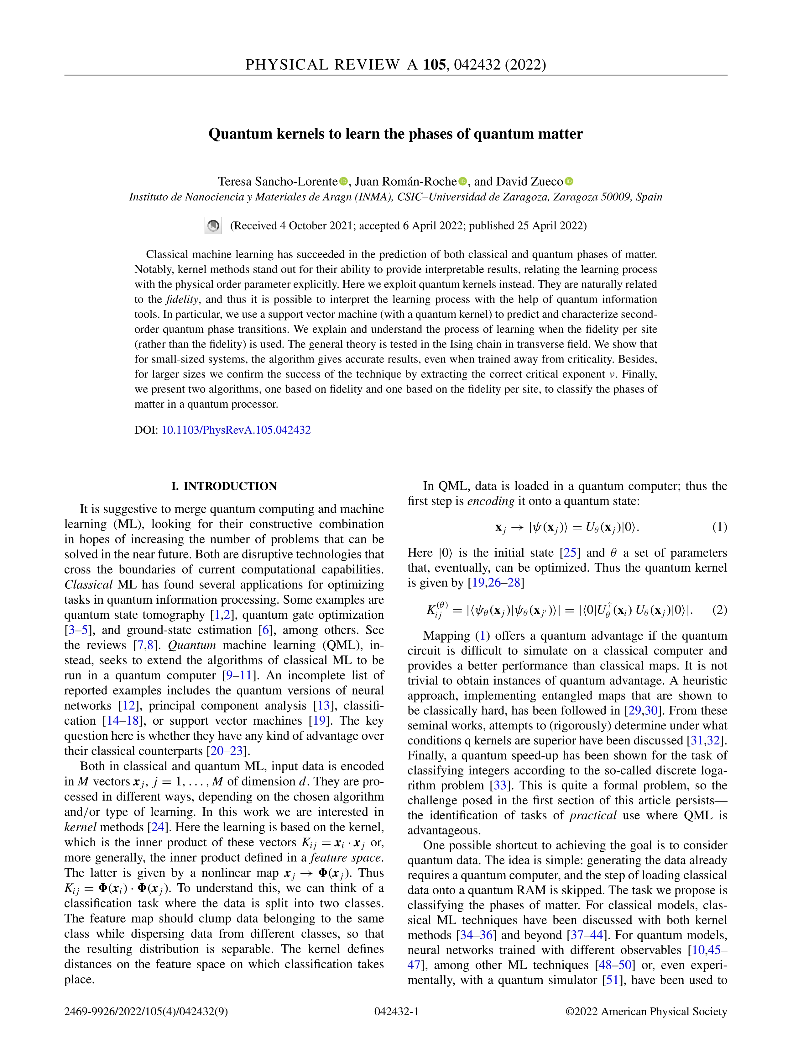 Quantum kernels to learn the phases of quantum matter