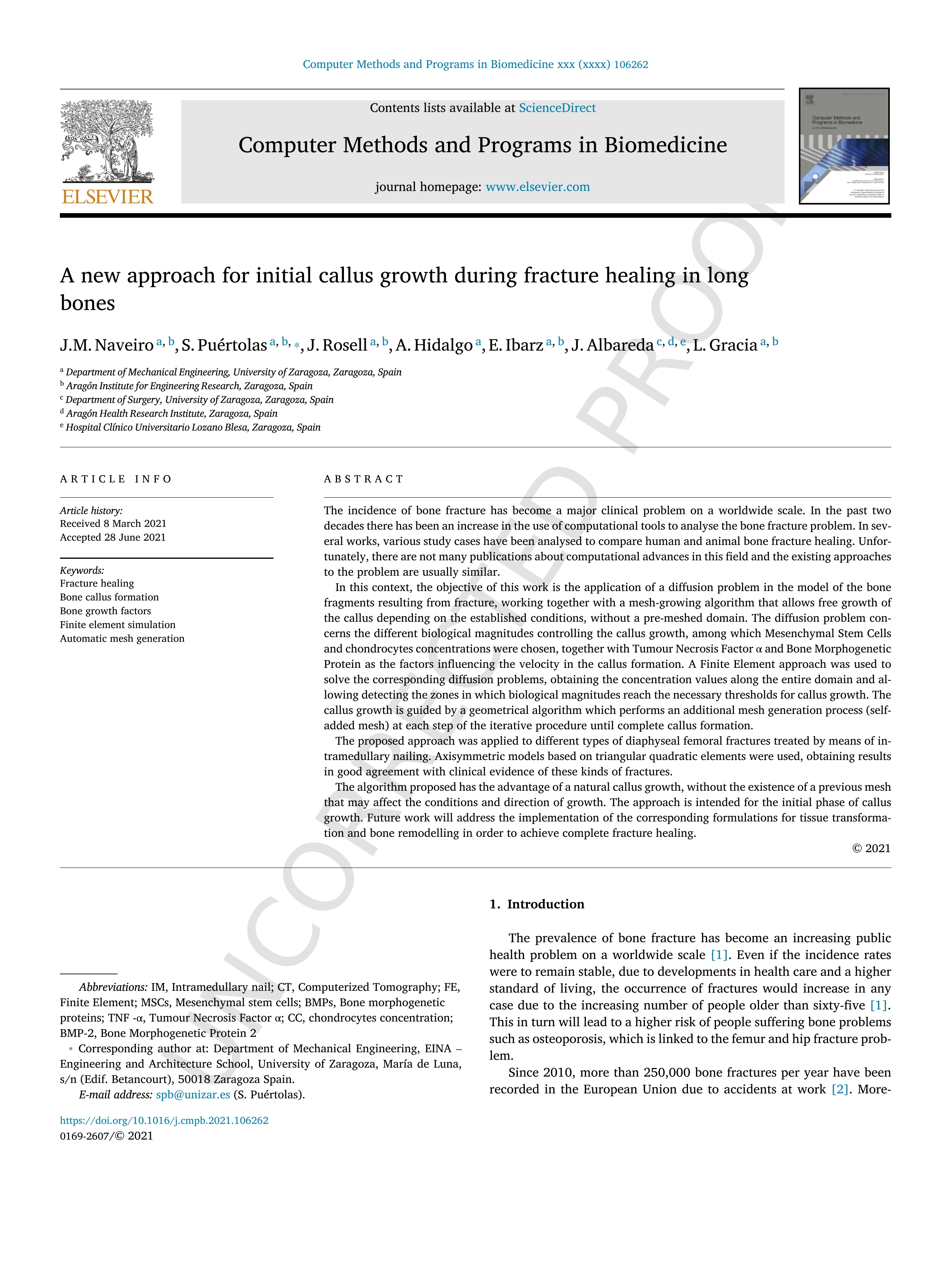 A new approach for initial callus growth during fracture healing in long bones