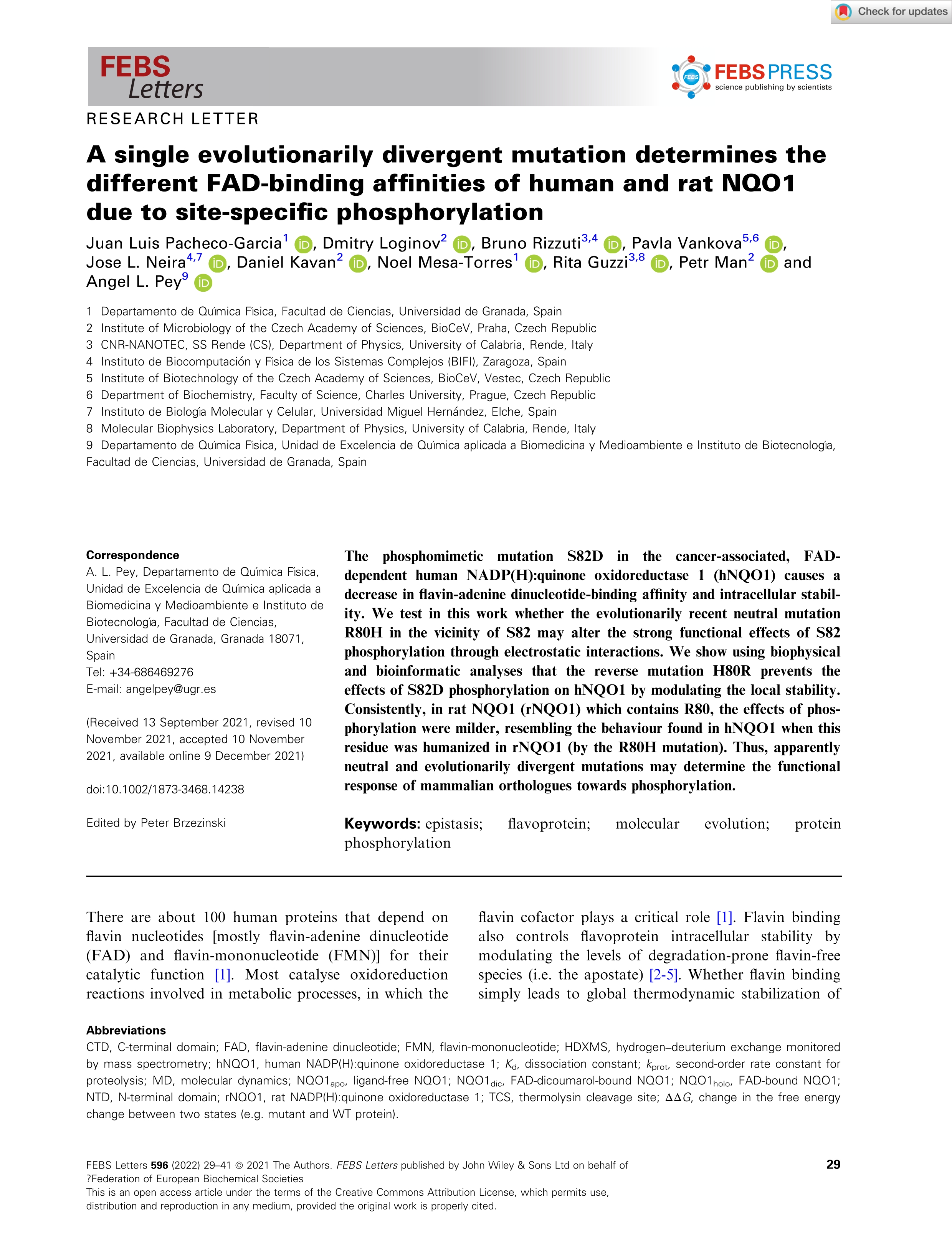 A single evolutionarily divergent mutation determines the different FAD-binding affinities of human and rat NQO1 due to site-specific phosphorylation