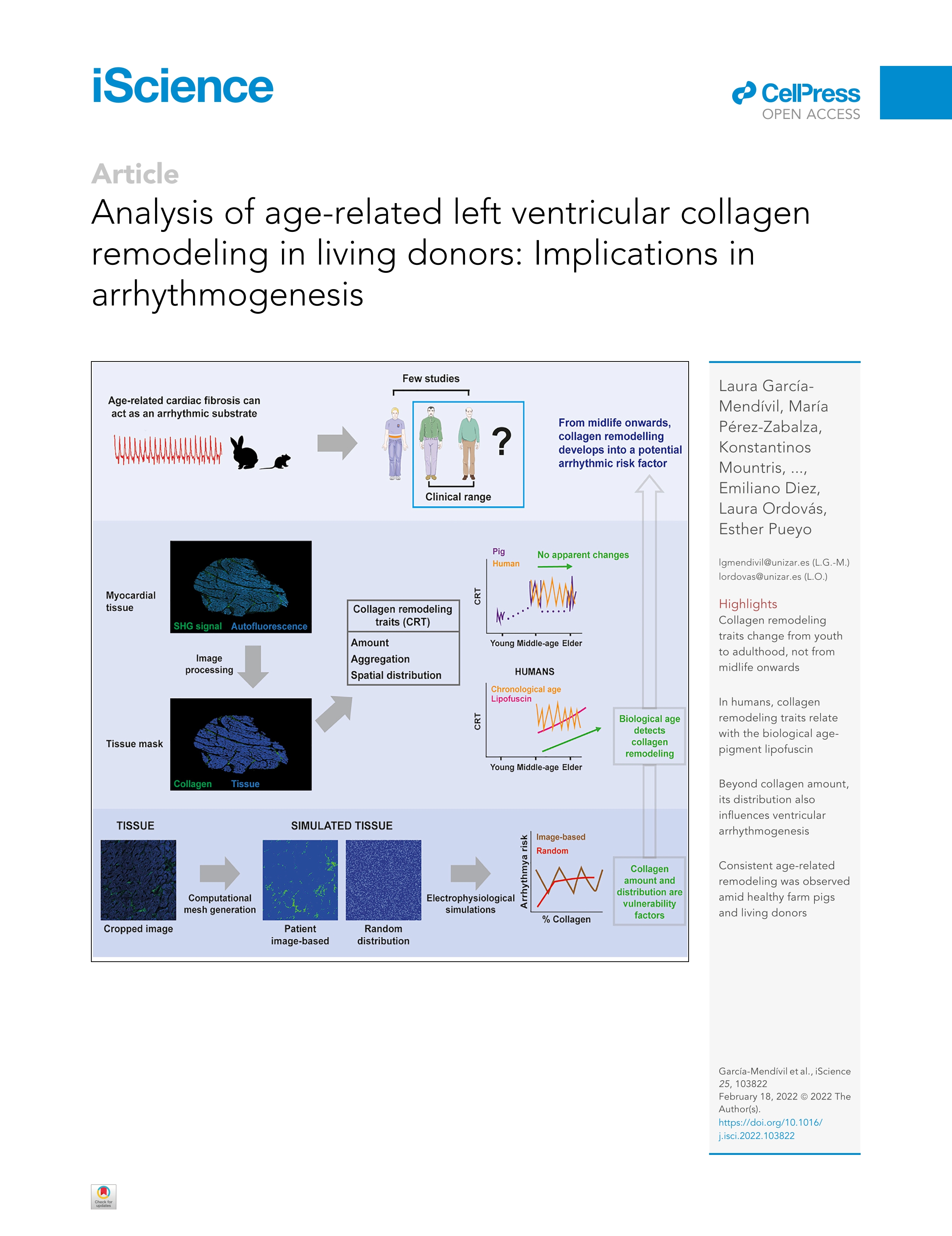 Analysis of age-related left ventricular collagen remodeling in living donors: Implications in arrhythmogenesis