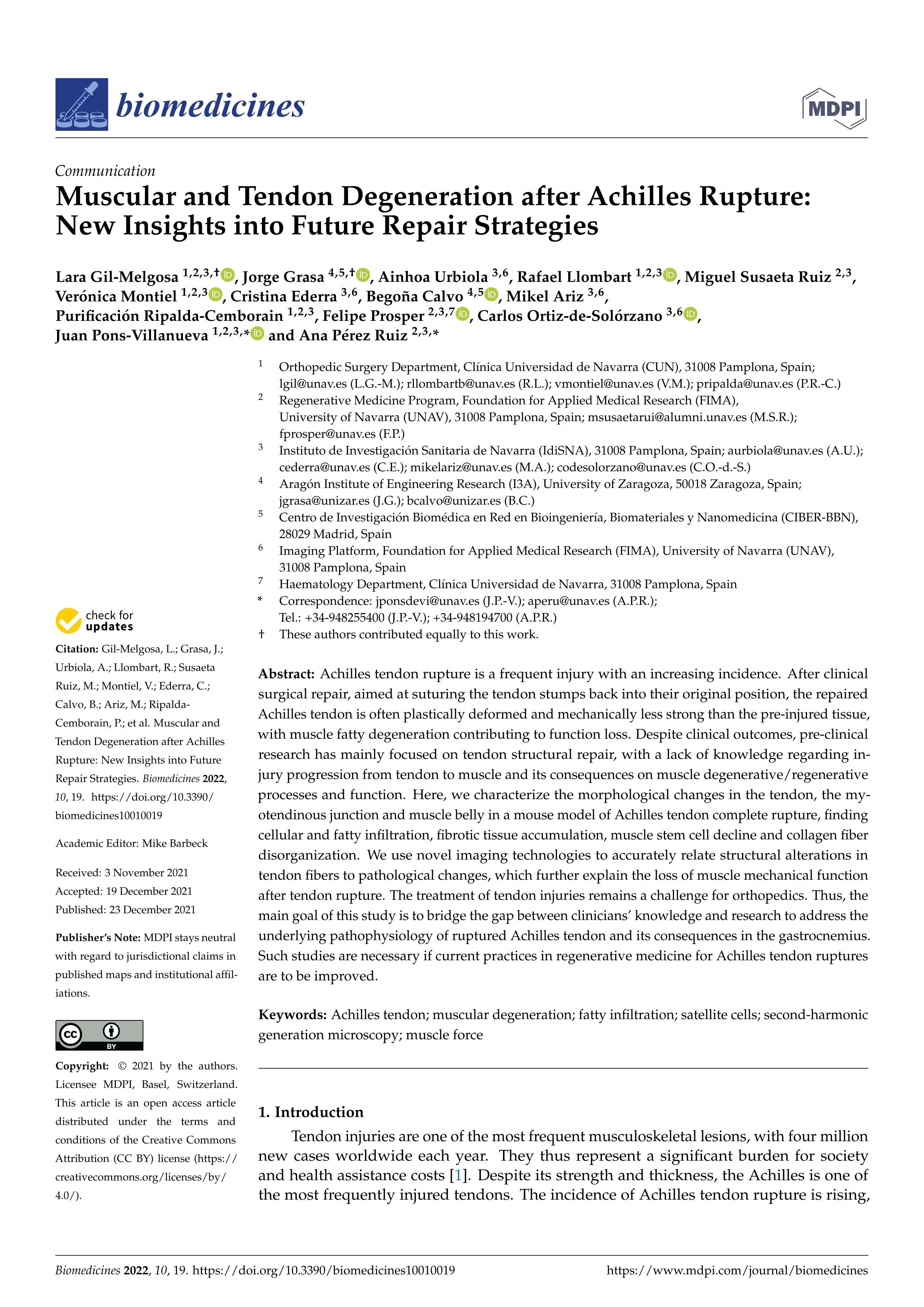 Muscular and tendon degeneration after achilles rupture: new insights into future repair strategies