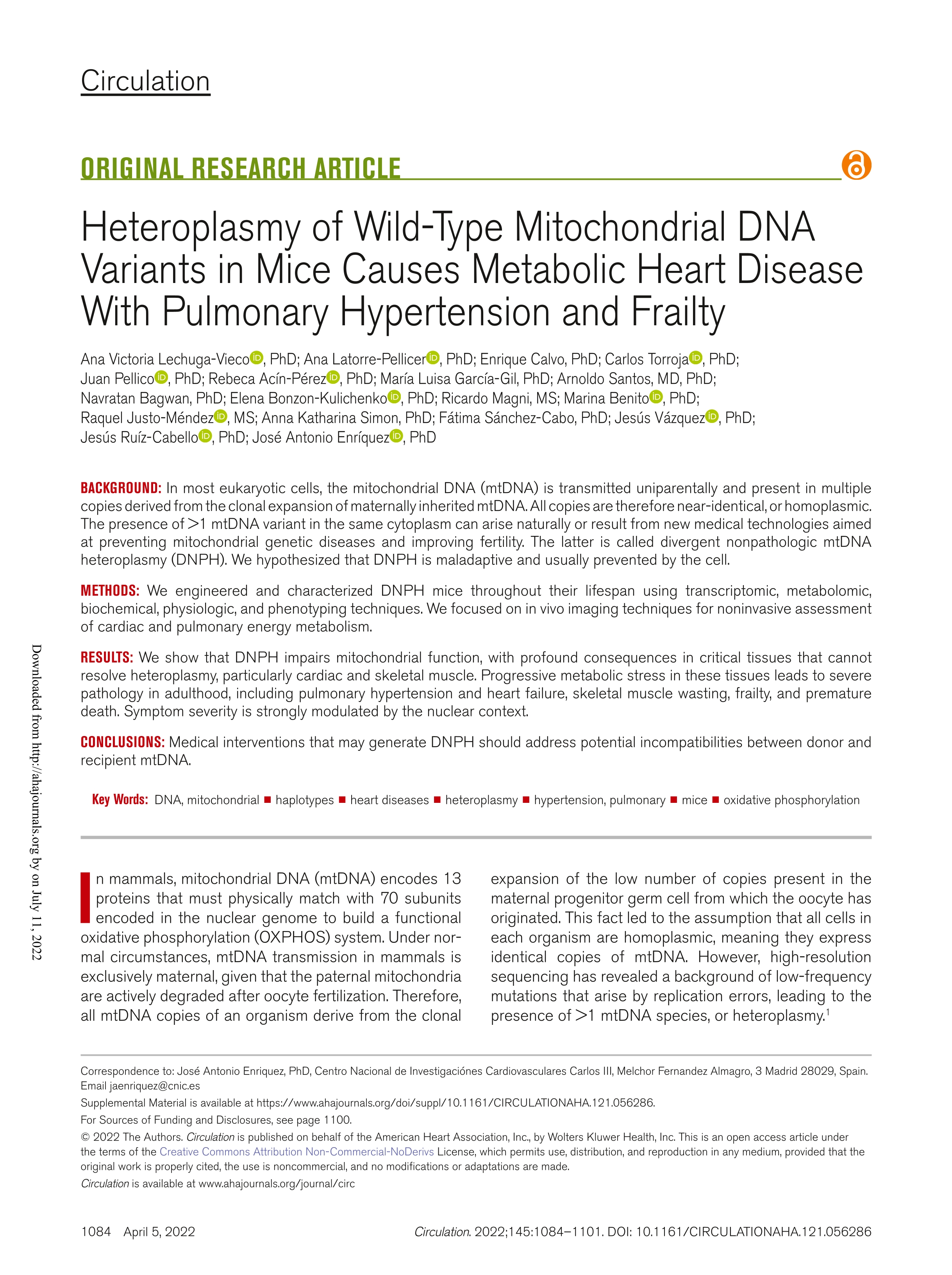 Heteroplasmy of Wild-Type Mitochondrial DNA Variants in Mice Causes Metabolic Heart Disease with Pulmonary Hypertension and Frailty; 35236094