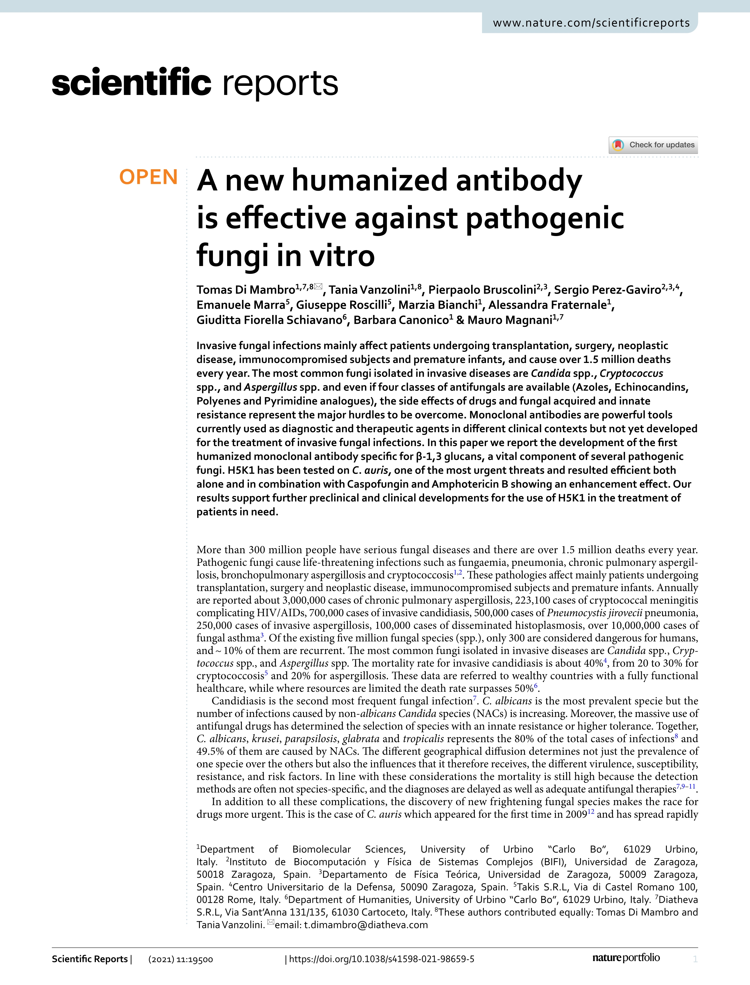 A new humanized antibody is effective against pathogenic fungi in vitro