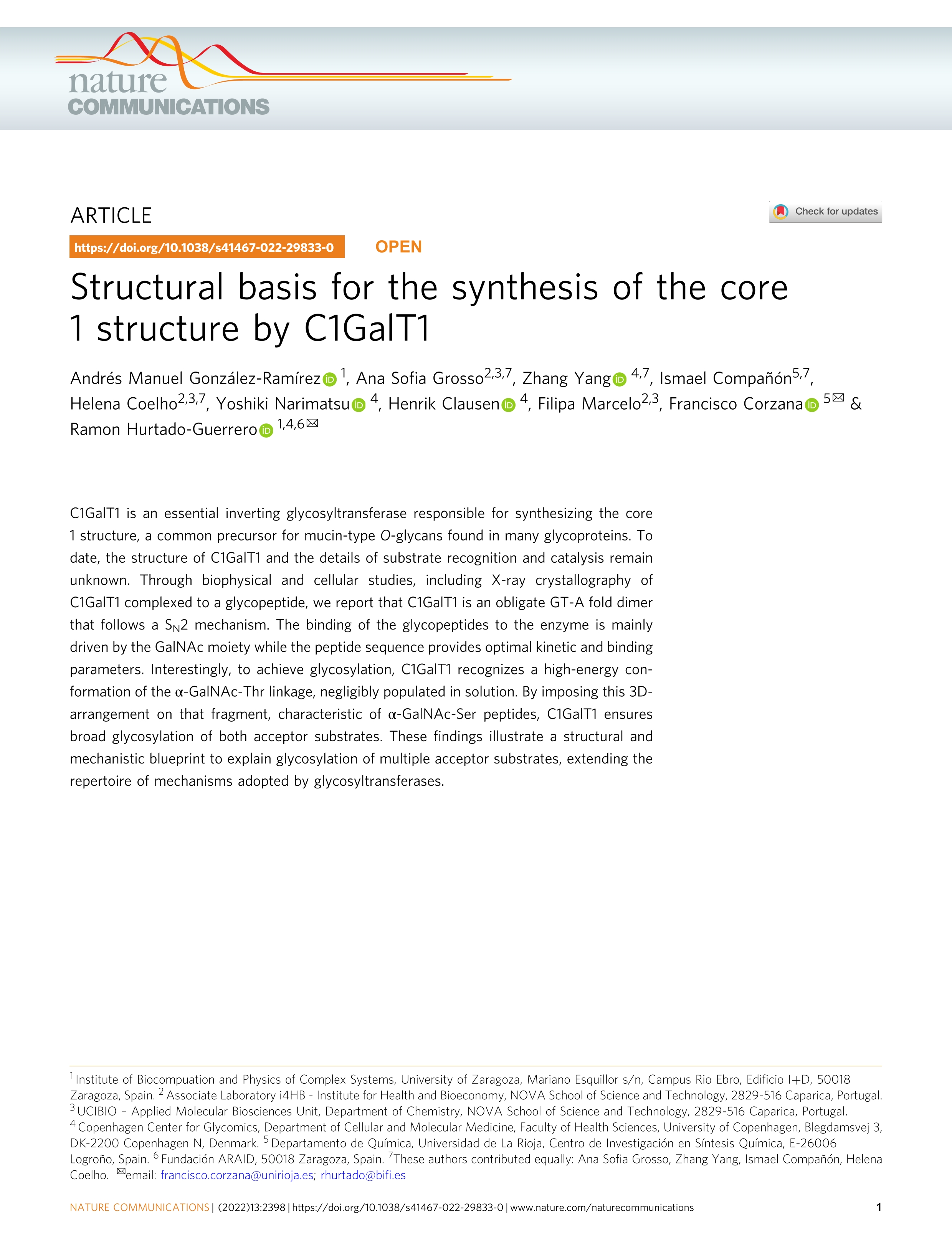 Structural basis for the synthesis of the core 1 structure by C1GalT1