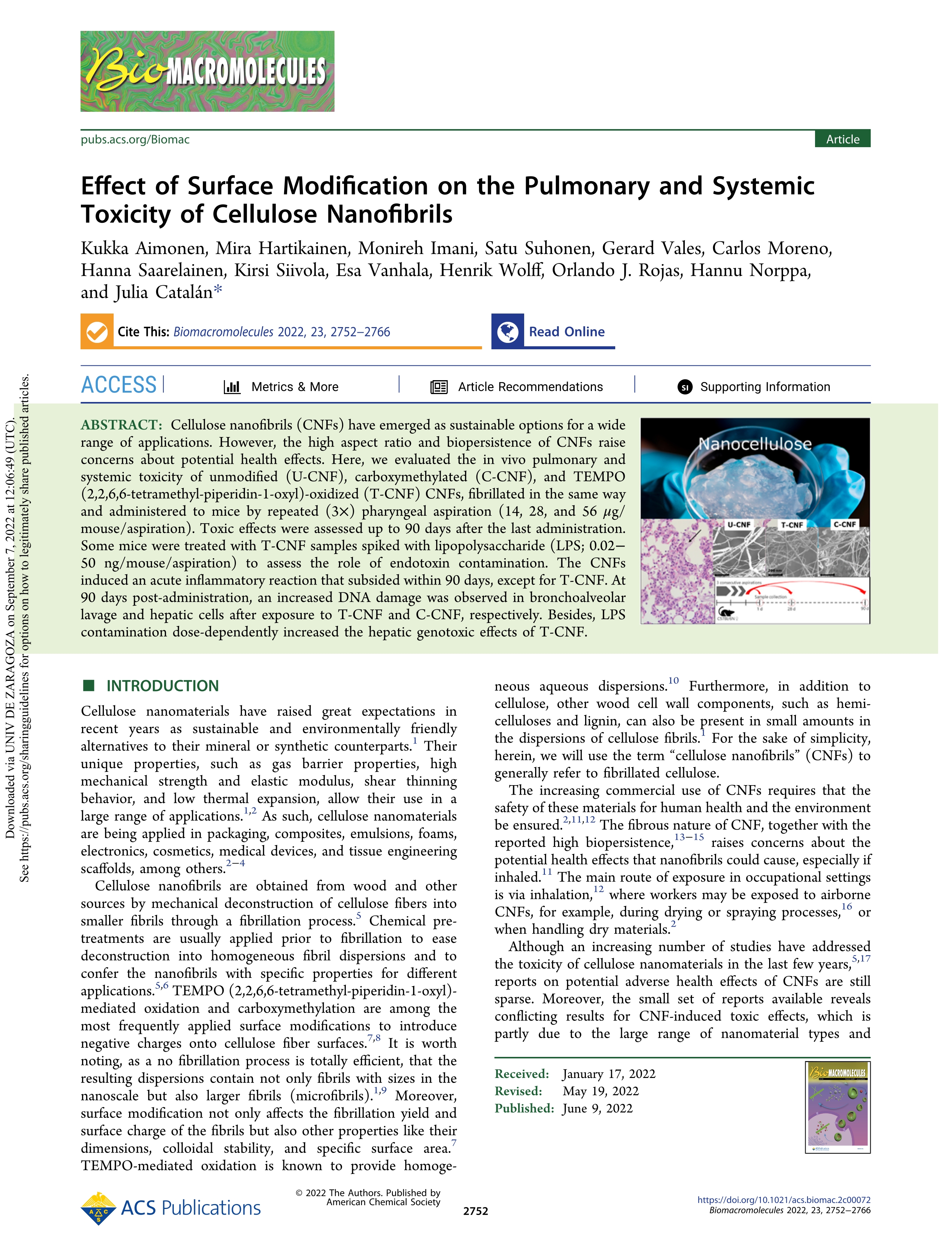 Effect of Surface Modification on the Pulmonary and Systemic Toxicity of Cellulose Nanofibrils