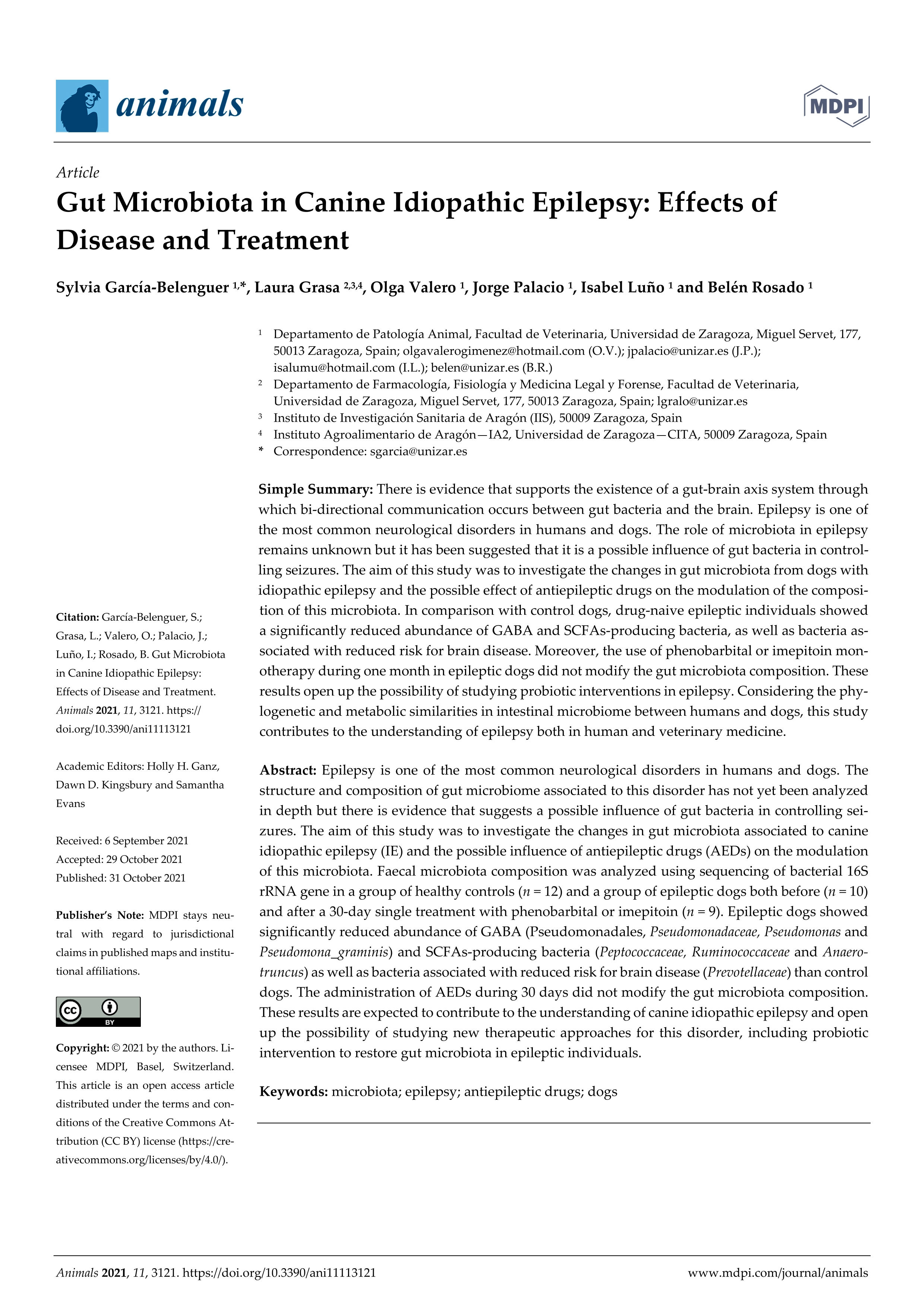 Gut microbiota in canine idiopathic epilepsy: Effects of disease and treatment