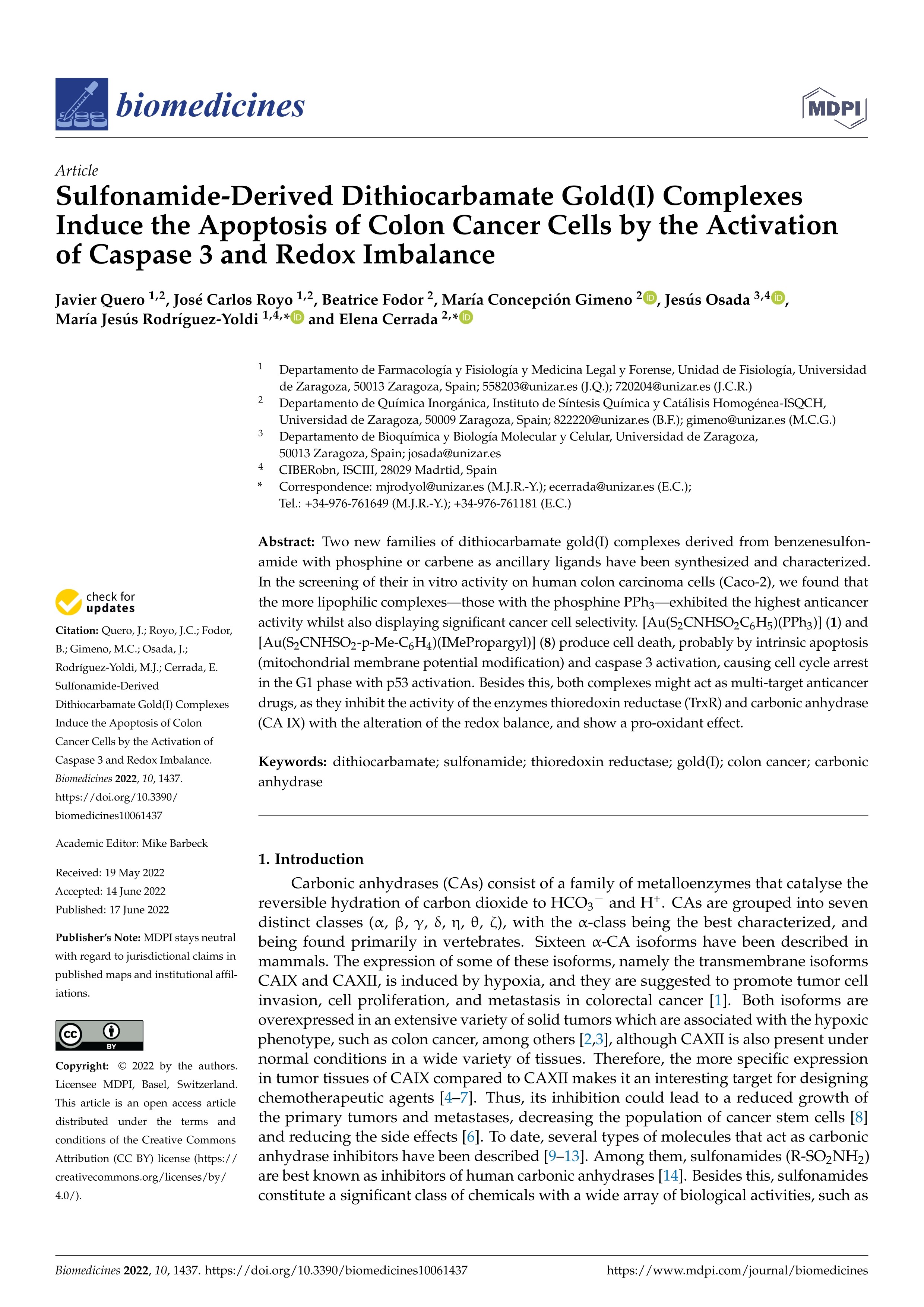 Sulfonamide-derived Dithiocarbamate Gold(i) complexes induce the apoptosis of colon cancer cells by the activation of Caspase 3 and redox imbalance