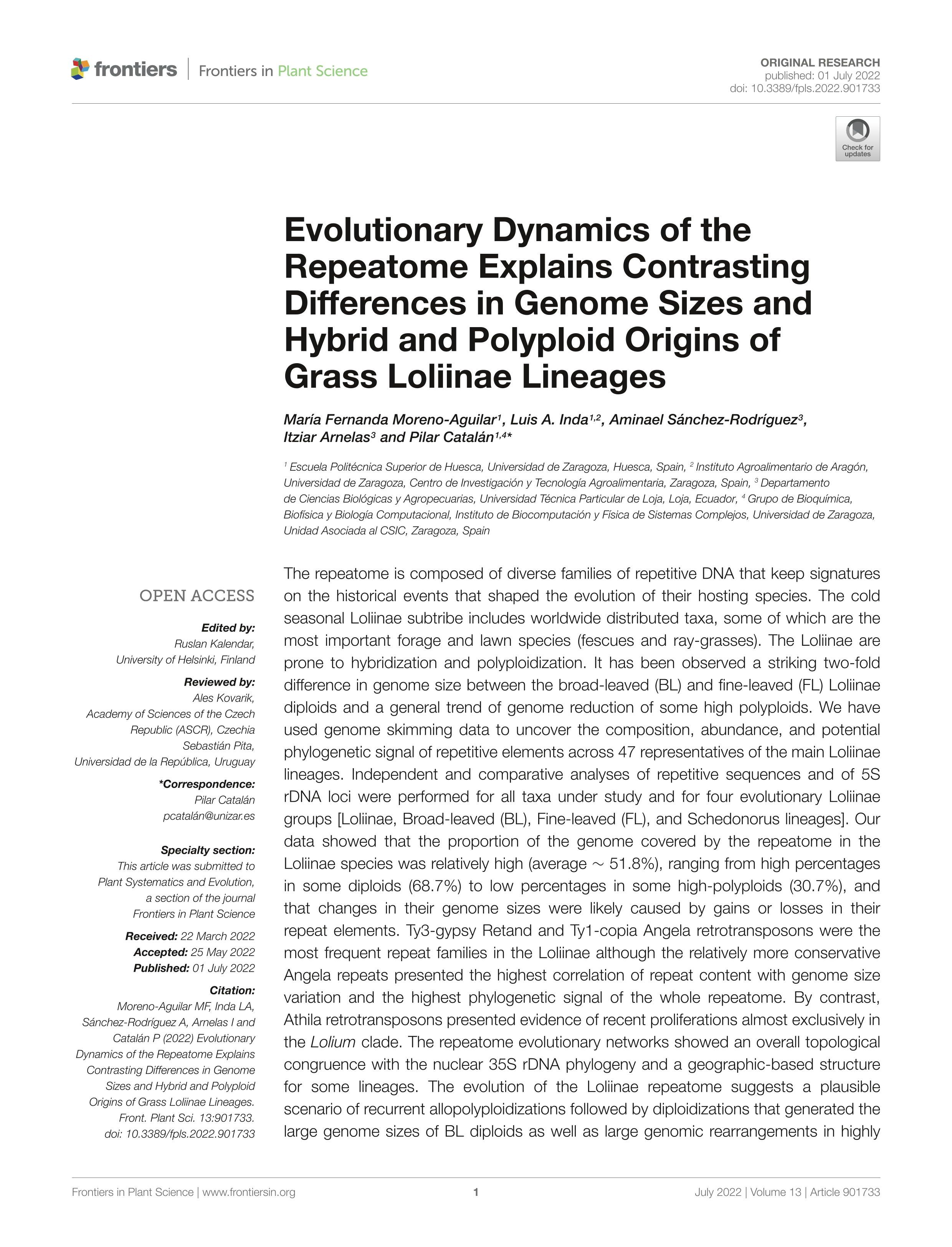 Evolutionary dynamics of the repeatome explains contrasting differences in genome sizes and hybrid and polyploid origins of grass loliinae lineages