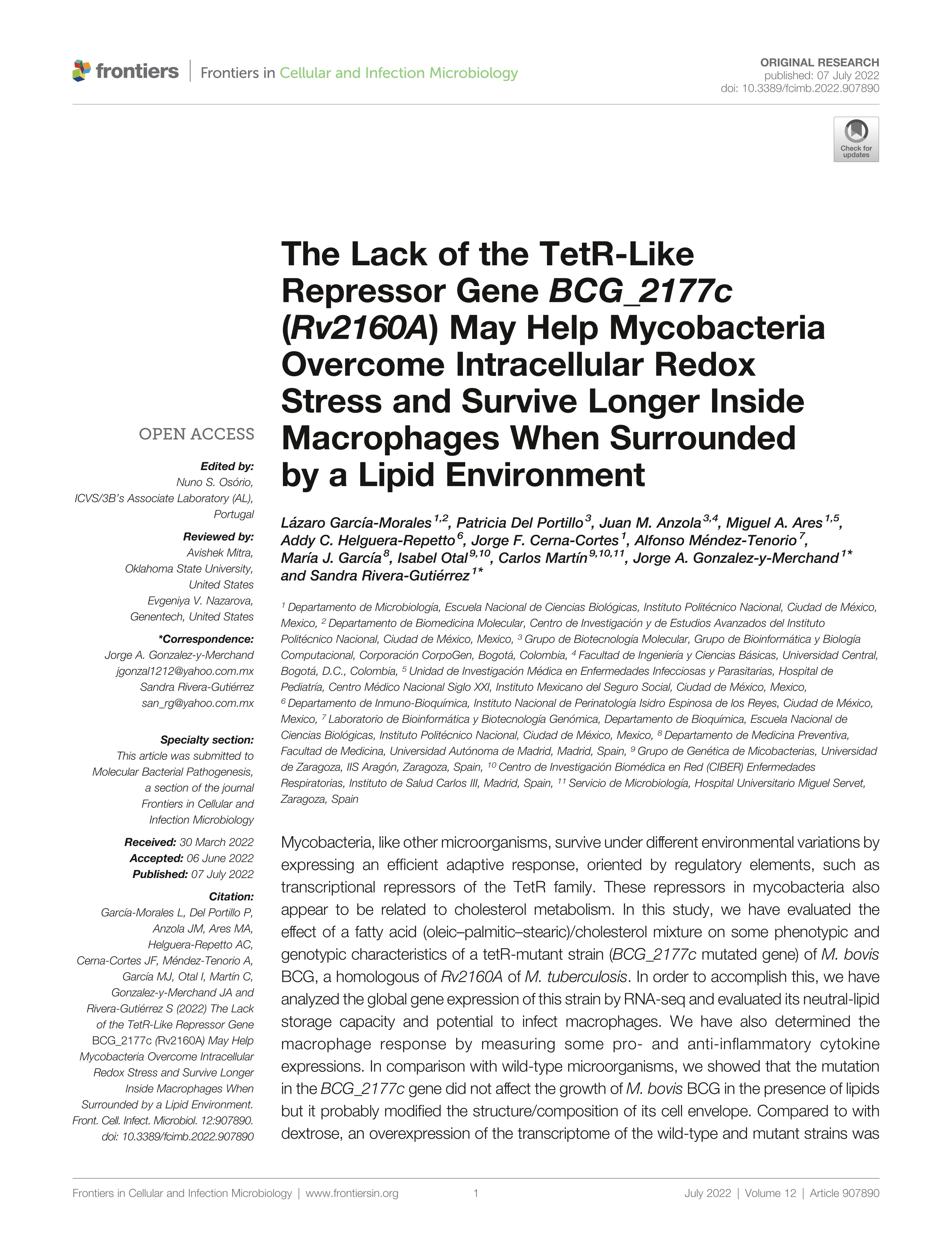 The lack of the TetR-like repressor gene BCG_2177c (Rv2160A) may help mycobacteria overcome intracellular redox stress and survive longer inside macrophages when surrounded by a lipid environment