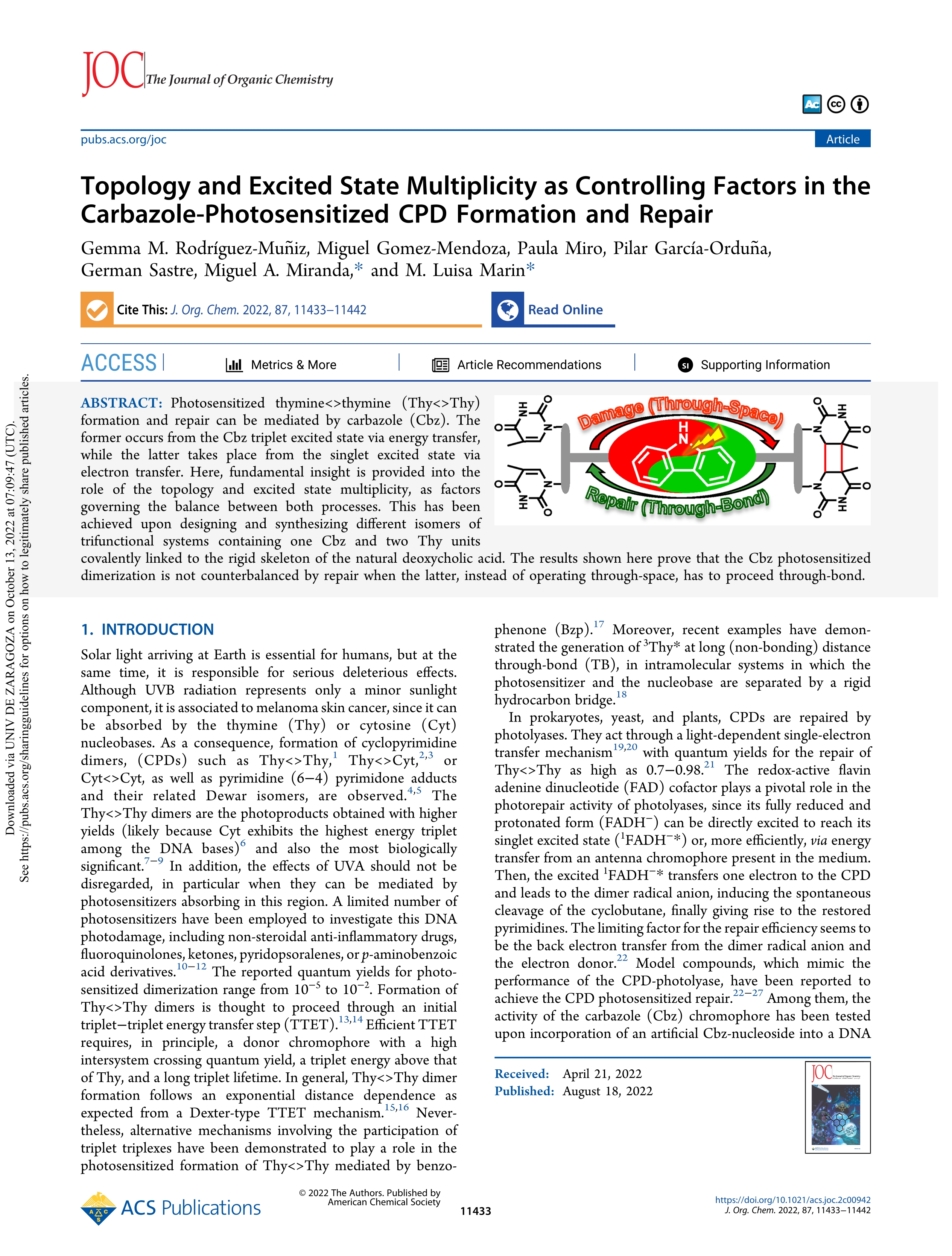 Topology and excited state multiplicity as controlling factors in the carbazole-photosensitized CPD formation and repair