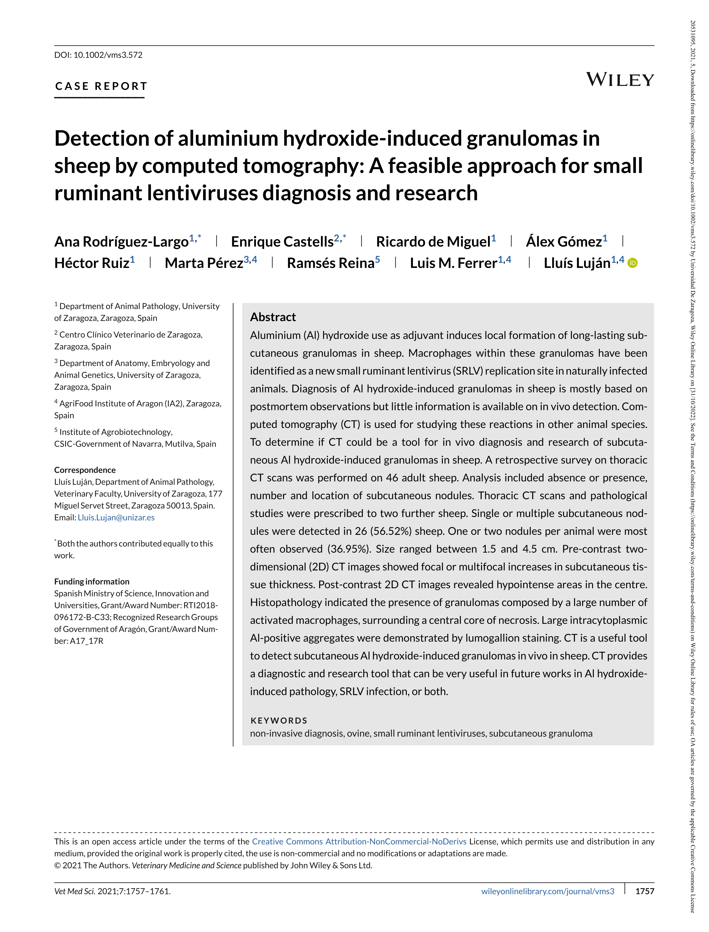 Detection of aluminium hydroxide-induced granulomas in sheep by computed tomography: A feasible approach for small ruminant lentiviruses diagnosis and research