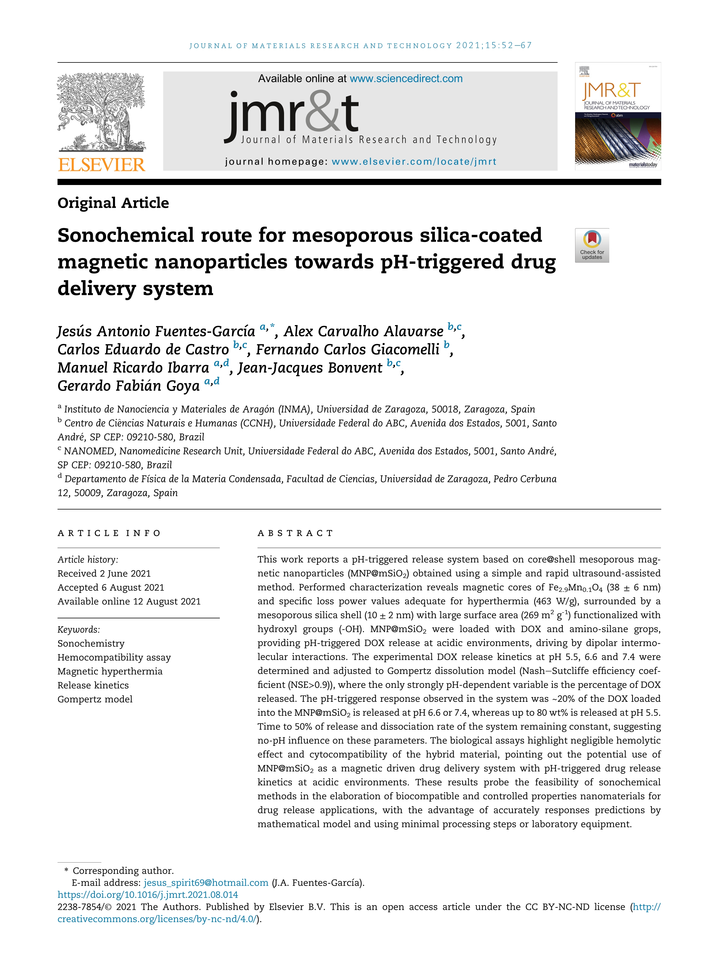 Sonochemical route for mesoporous silica-coated magnetic nanoparticles towards pH-triggered drug delivery system