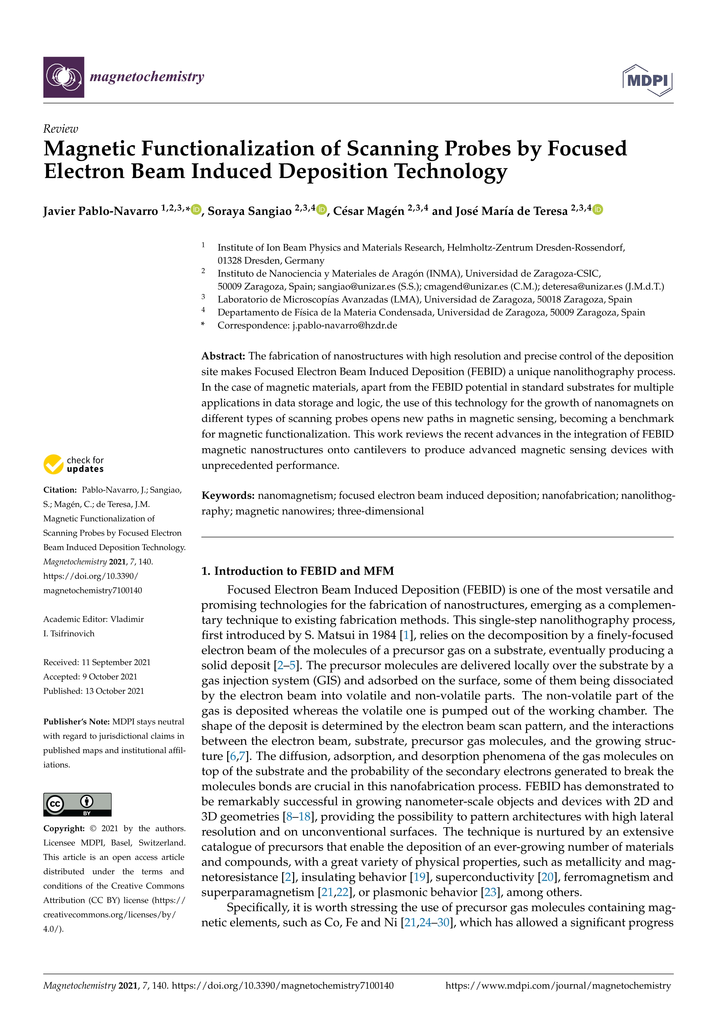 Magnetic functionalization of scanning probes by focused electron beam induced deposition technology