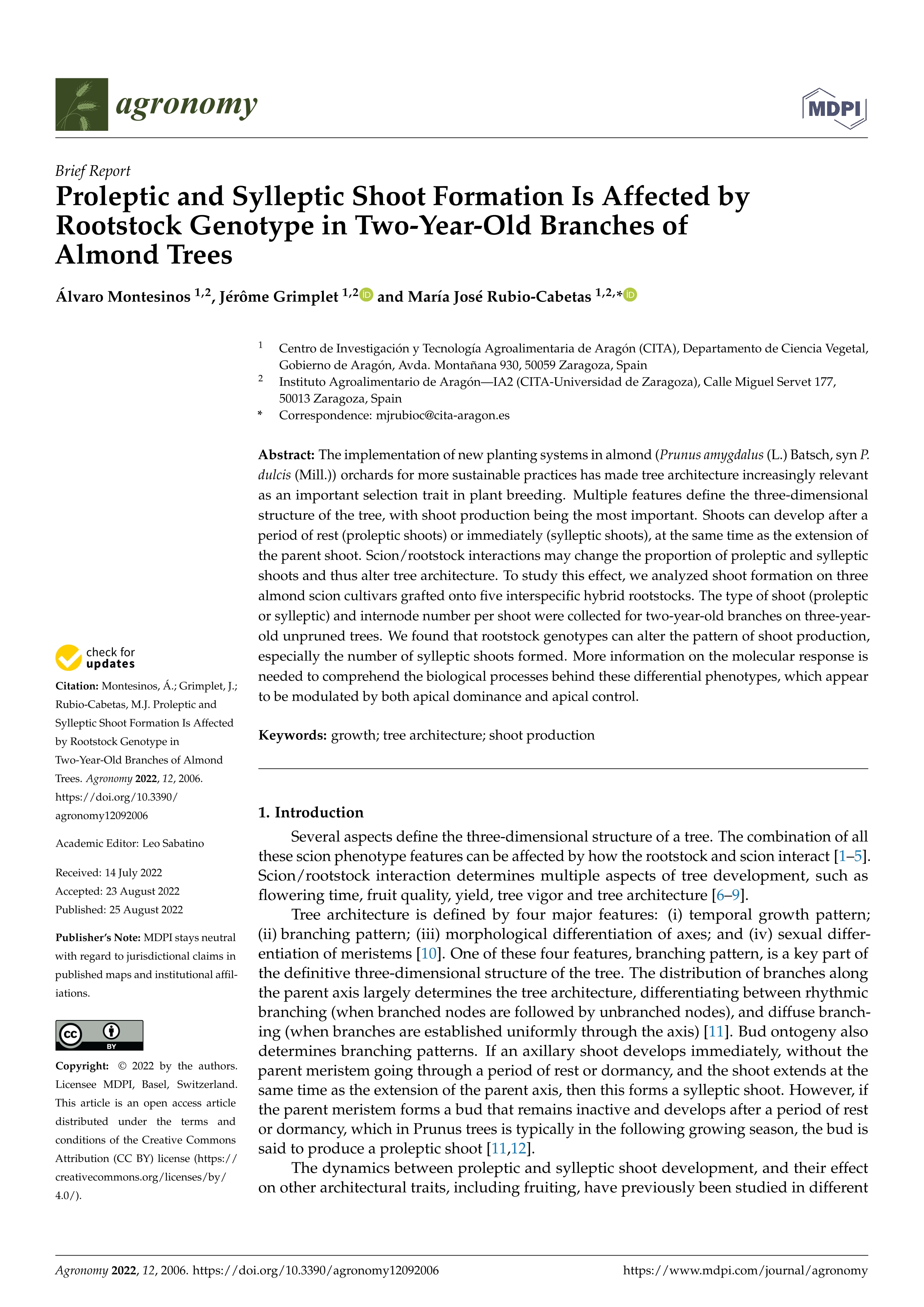 Proleptic and Sylleptic Shoot Formation Is Affected by Rootstock Genotype in Two-Year-Old Branches of Almond Trees