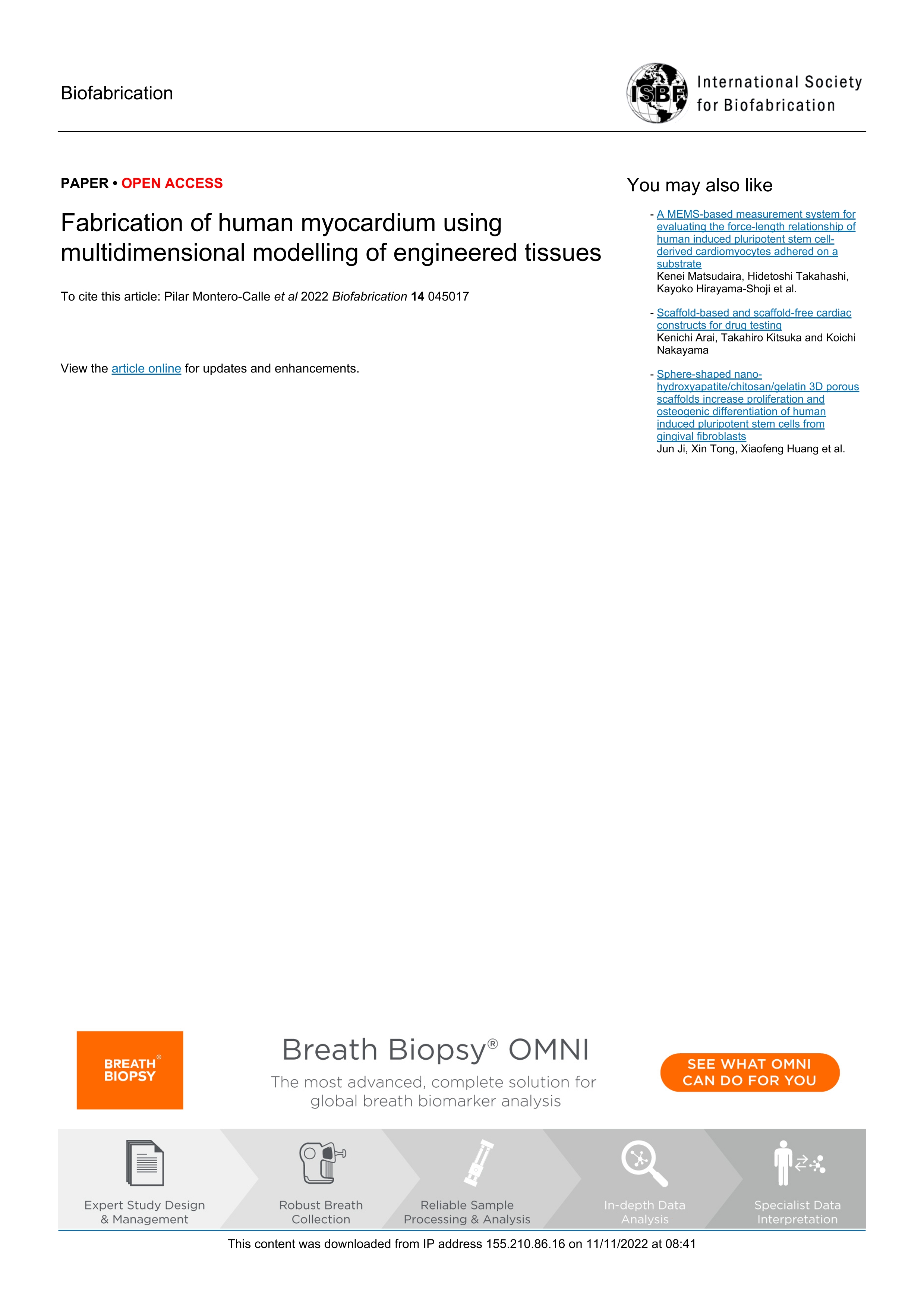 Fabrication of human myocardium using multidimensional modelling of engineered tissues