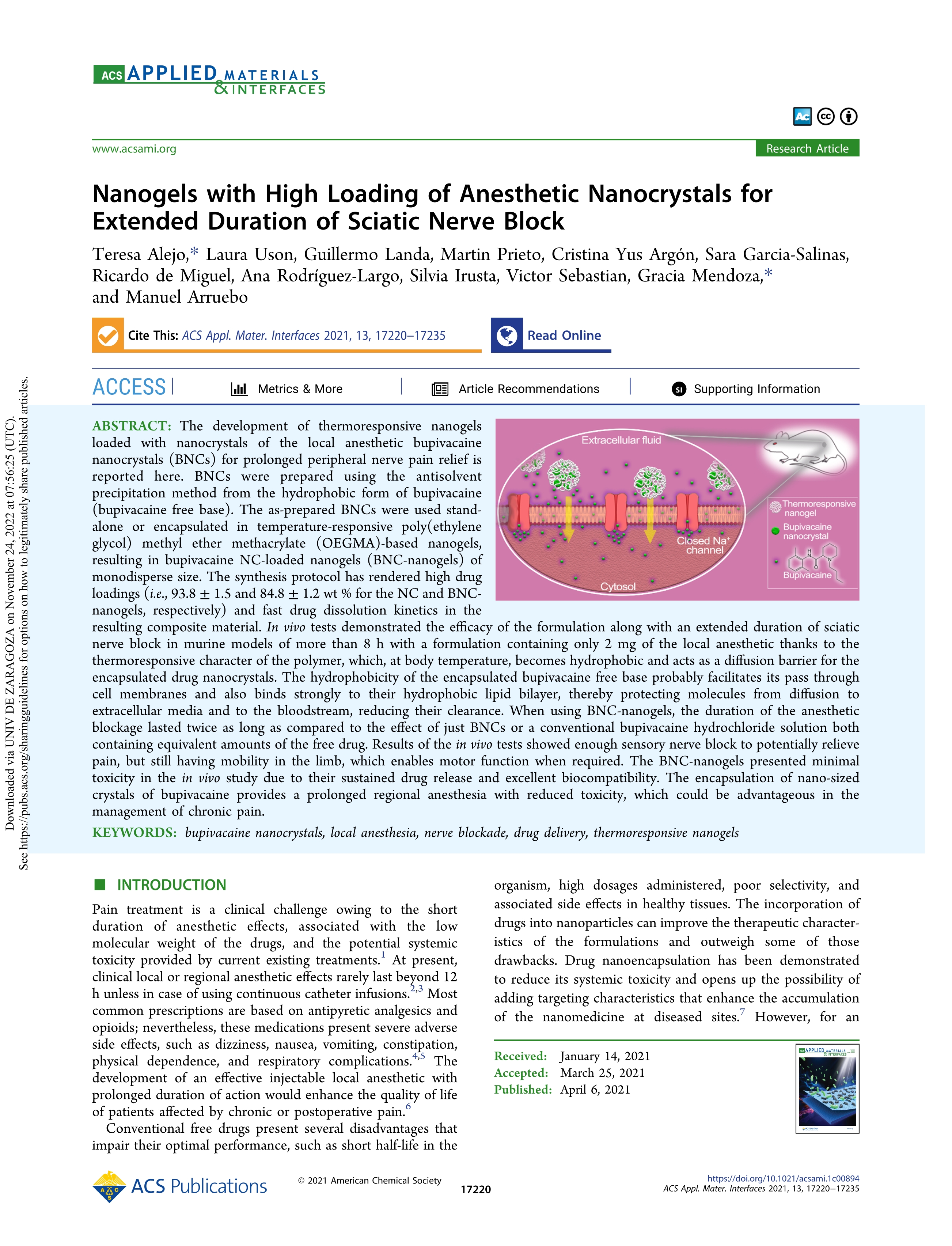 Nanogels with High Loading of Anesthetic Nanocrystals for Extended Duration of Sciatic Nerve Block